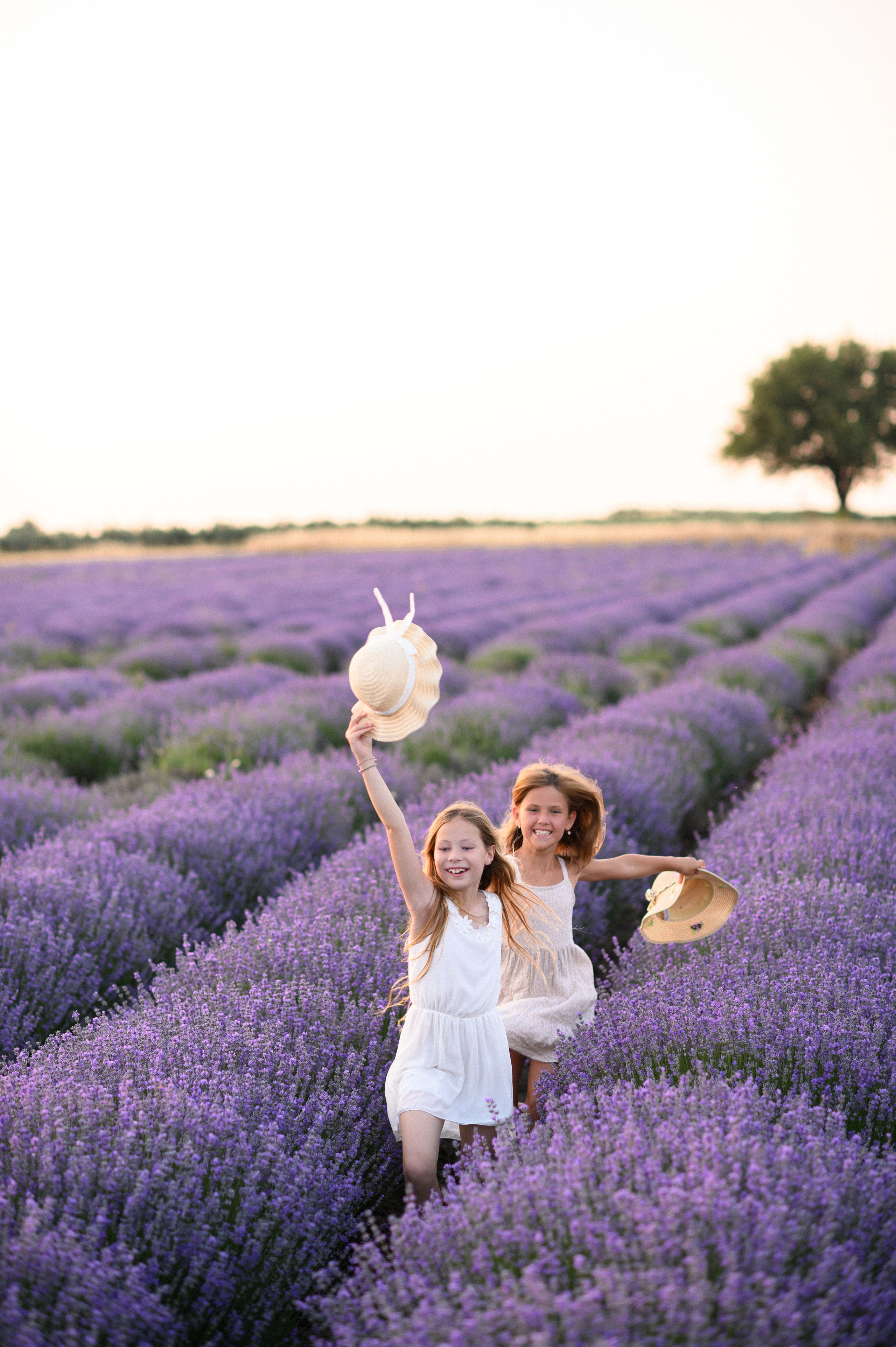 Lavender Field. Семейная, детская, портретная и предметная фотосъемка в Салониках