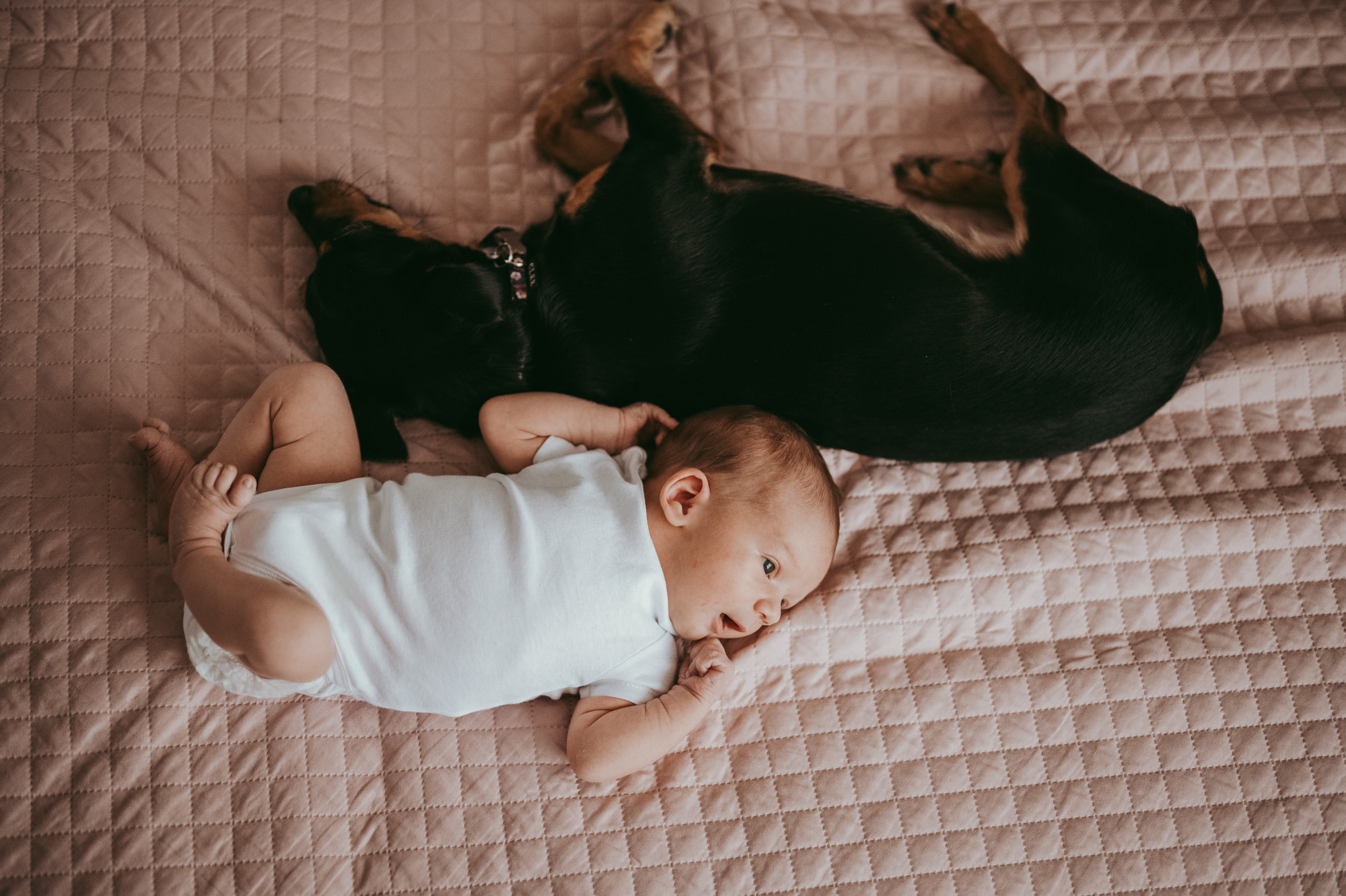 Prvo fotografisanje Lazara. Deciji i porodicni fotograf u Beogradu Oksana Skendzic