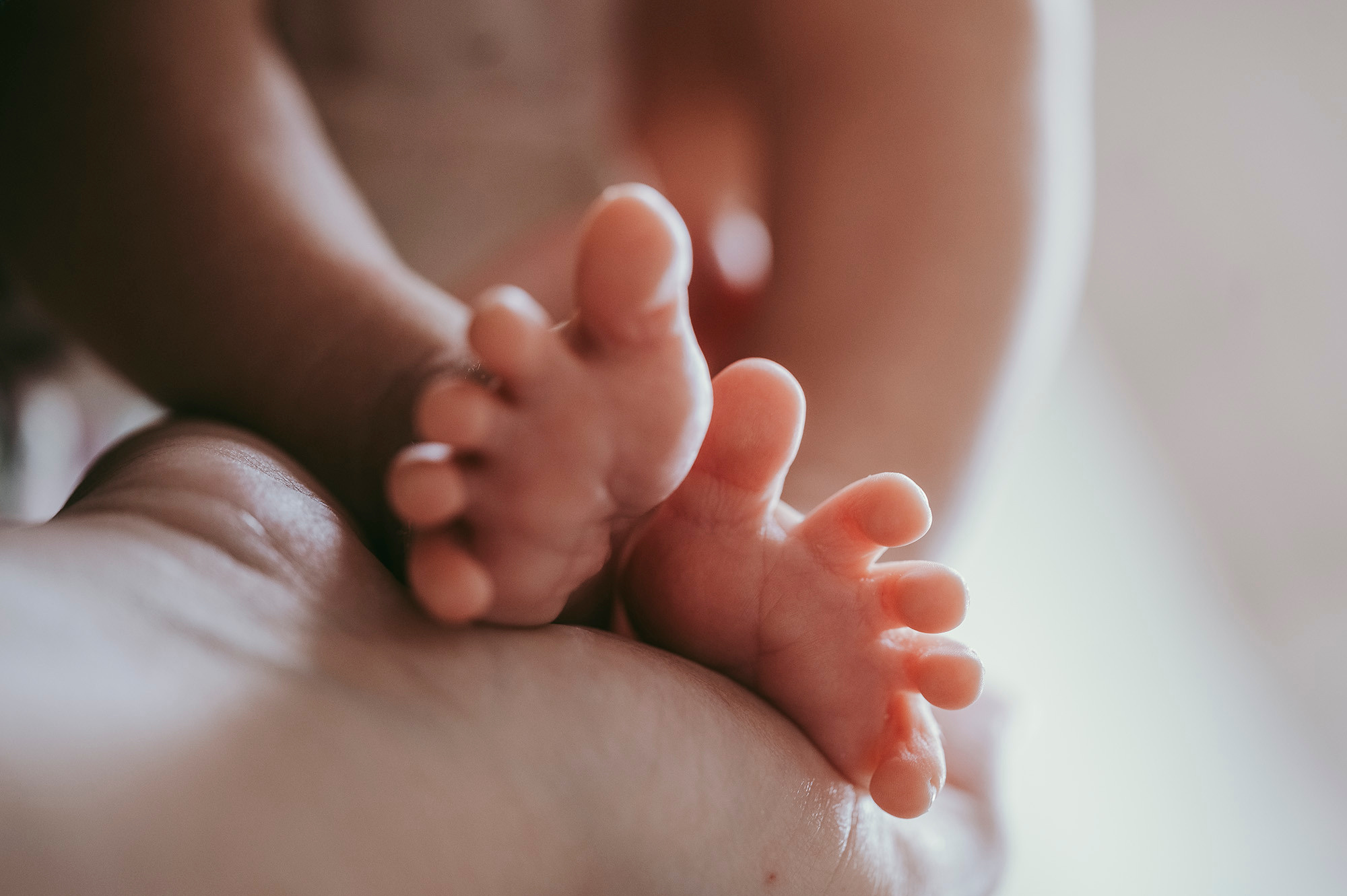 Vojin, Sandra i Strahinja / porodicno fotografisanje. Deciji i porodicni fotograf u Beogradu Oksana Skendzic