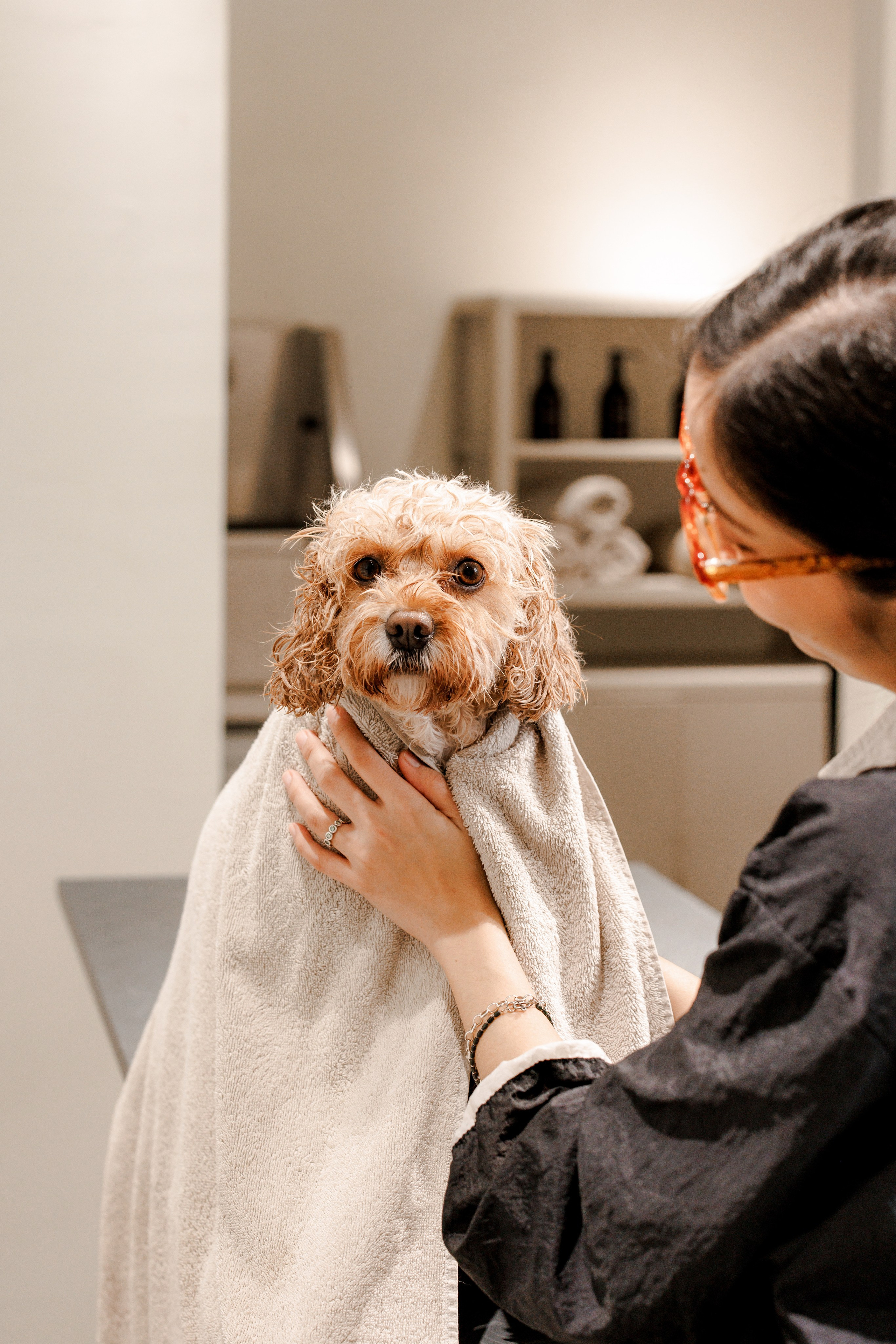 Bark & Bones. Familien- & Hochzeitsfotografin Schweiz. Valeria Diaz in Zürich und Umgebung