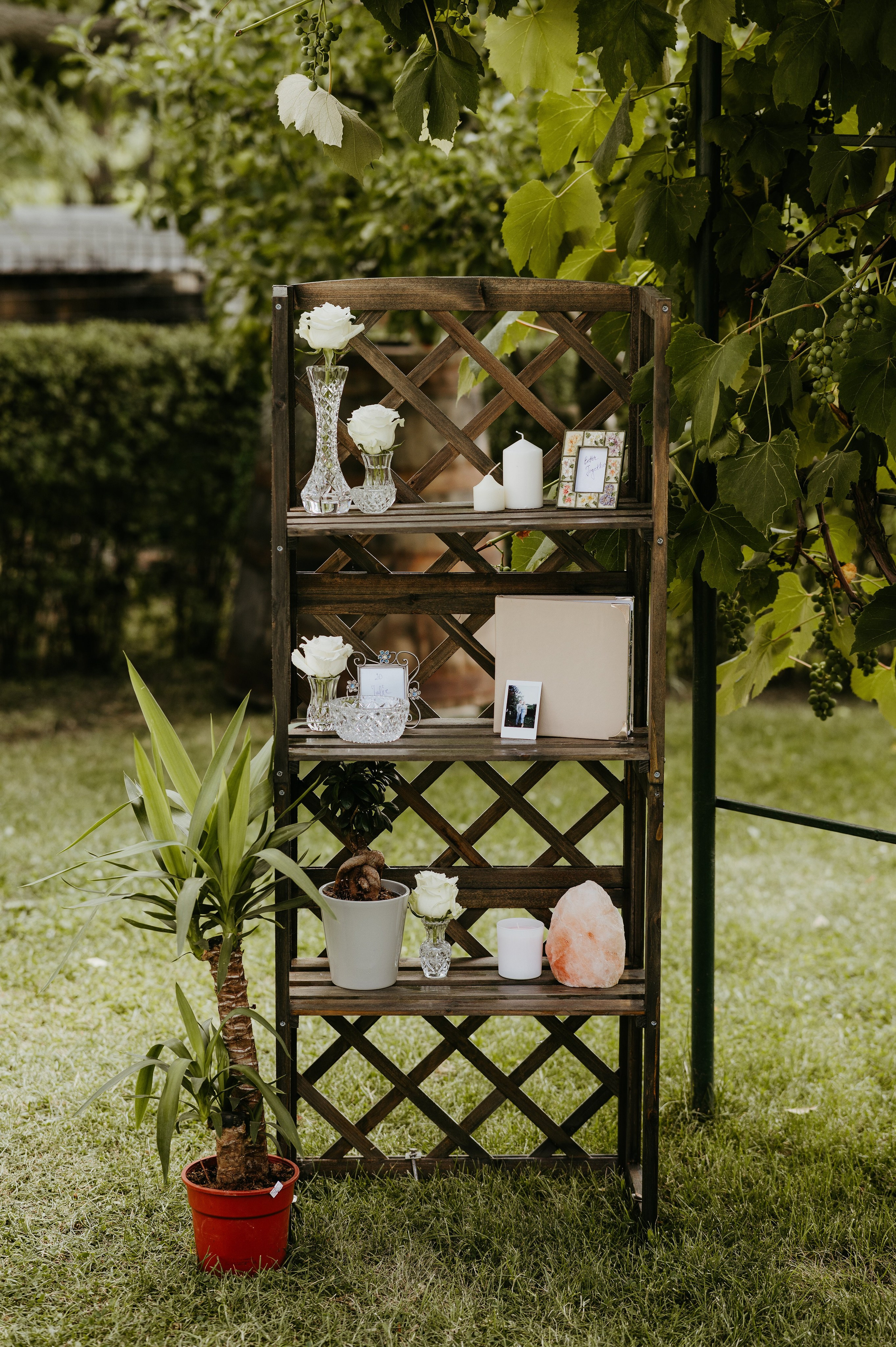 Rodica și Claudiu - O nuntă autentică și plină de emoție la Golden Forest. Valentin Melen - fotograf de nunta 🤍