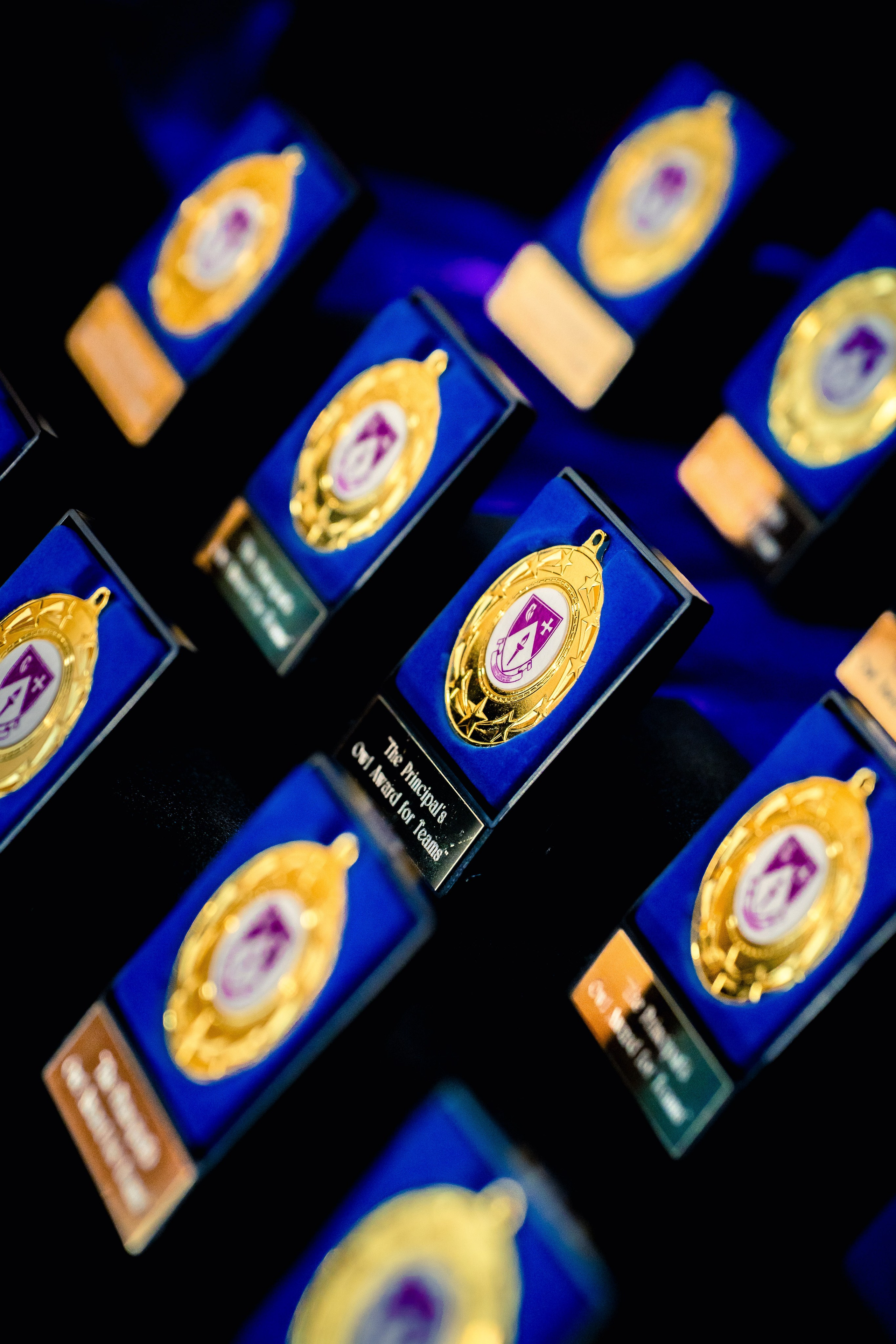 The Owl Society. Expect Miracles Photography by Kate & Andrew