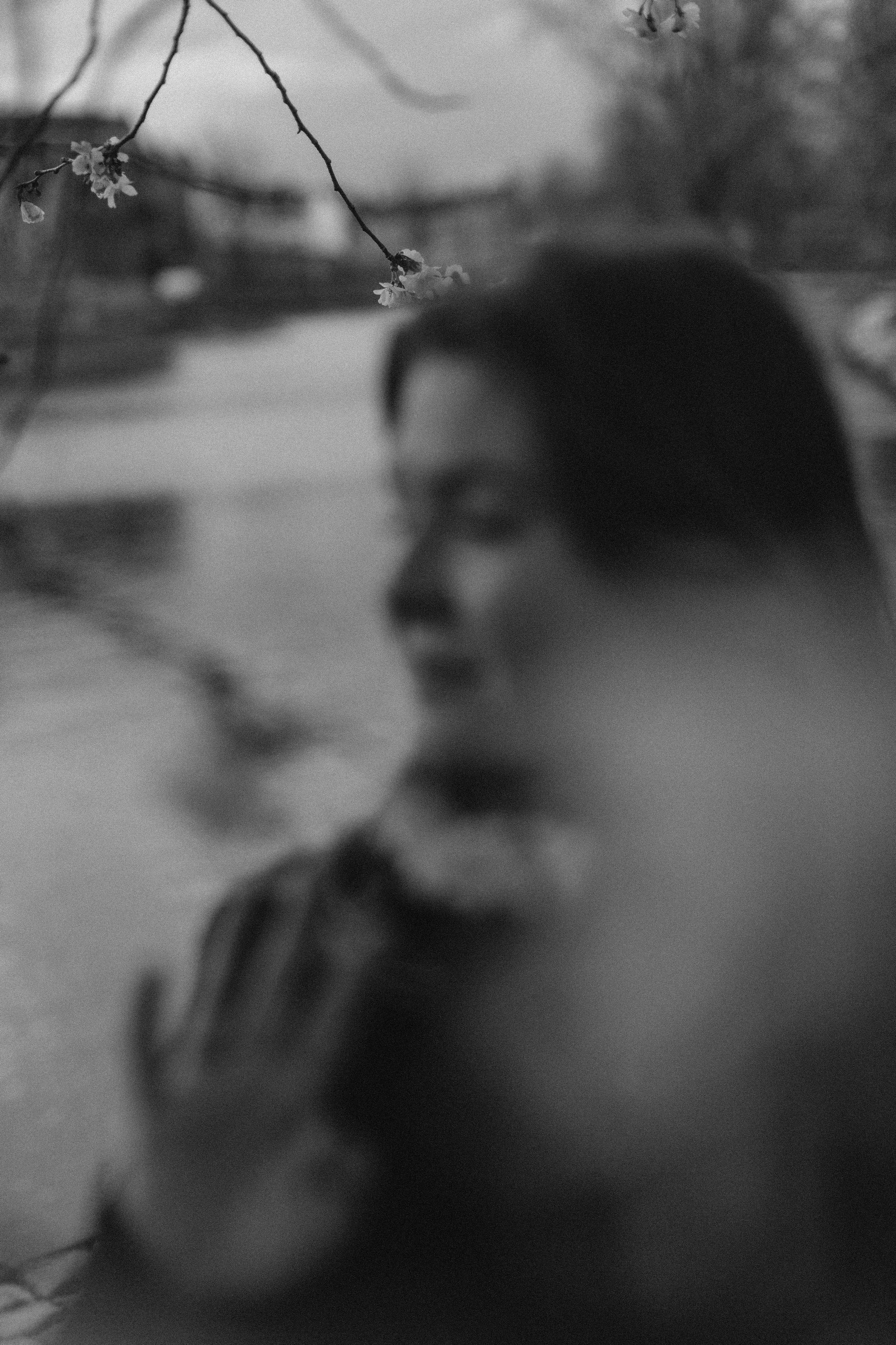 Polina. Mastricht. True self