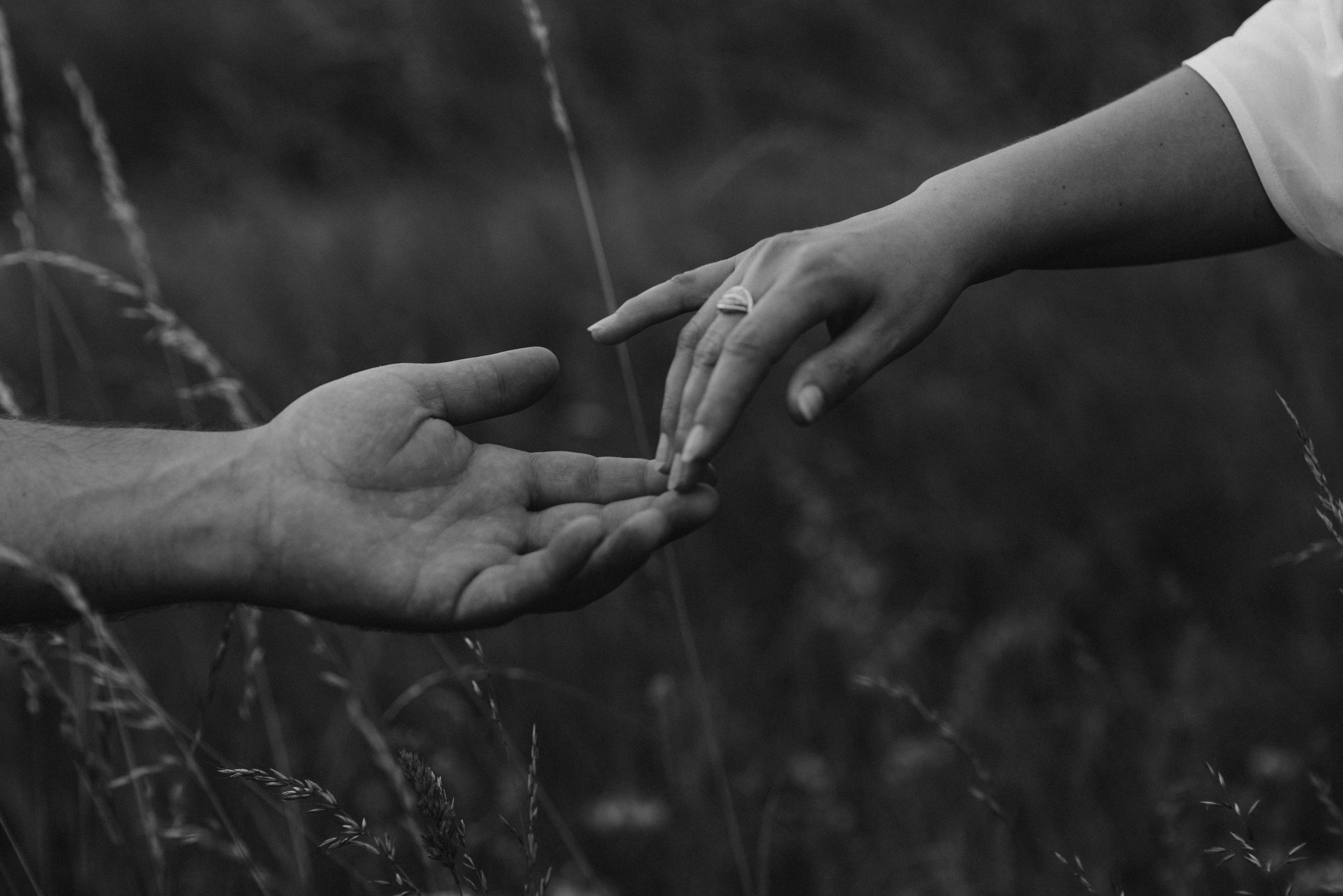 FAMILY PALUS. Photographer and videographer in Norway and Slovakia Andrea Zemko