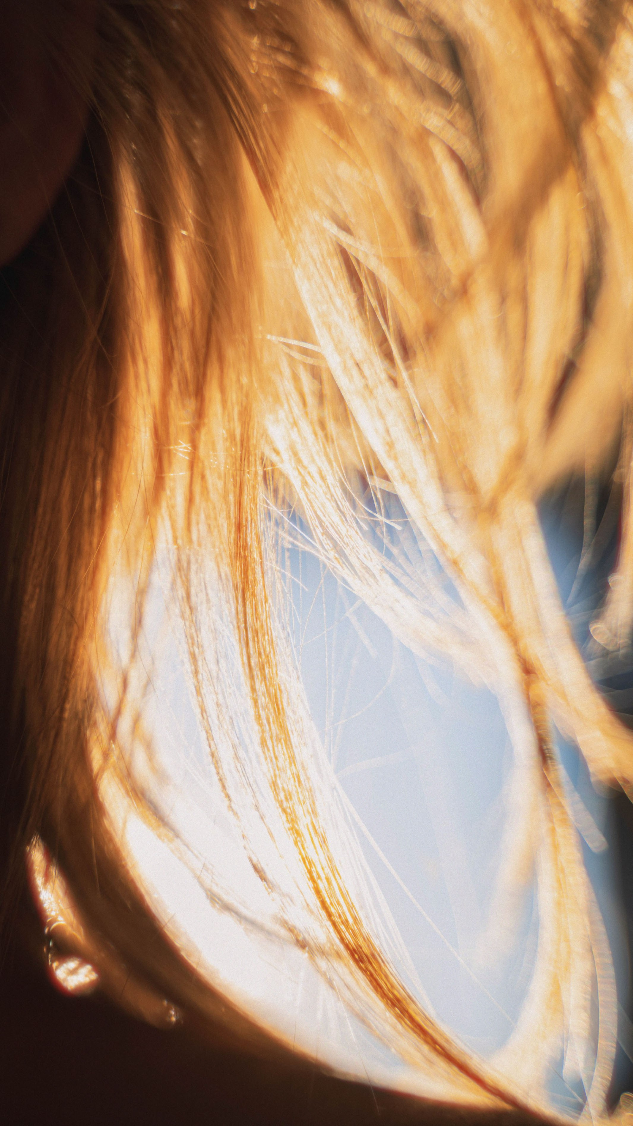 Sunset. Zhukov studio