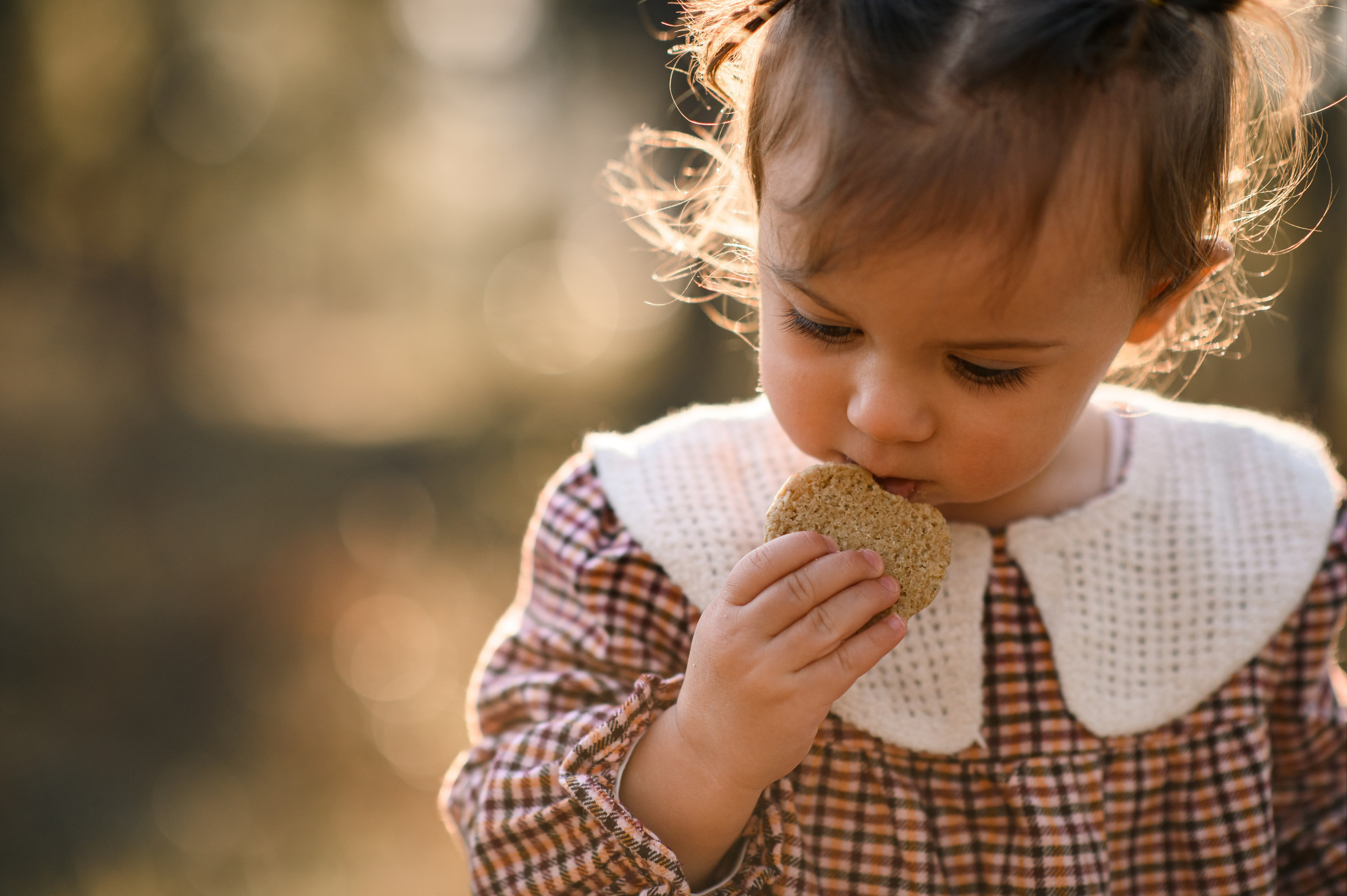 Forest Family. Семейная, детская, портретная и предметная фотосъемка в Салониках