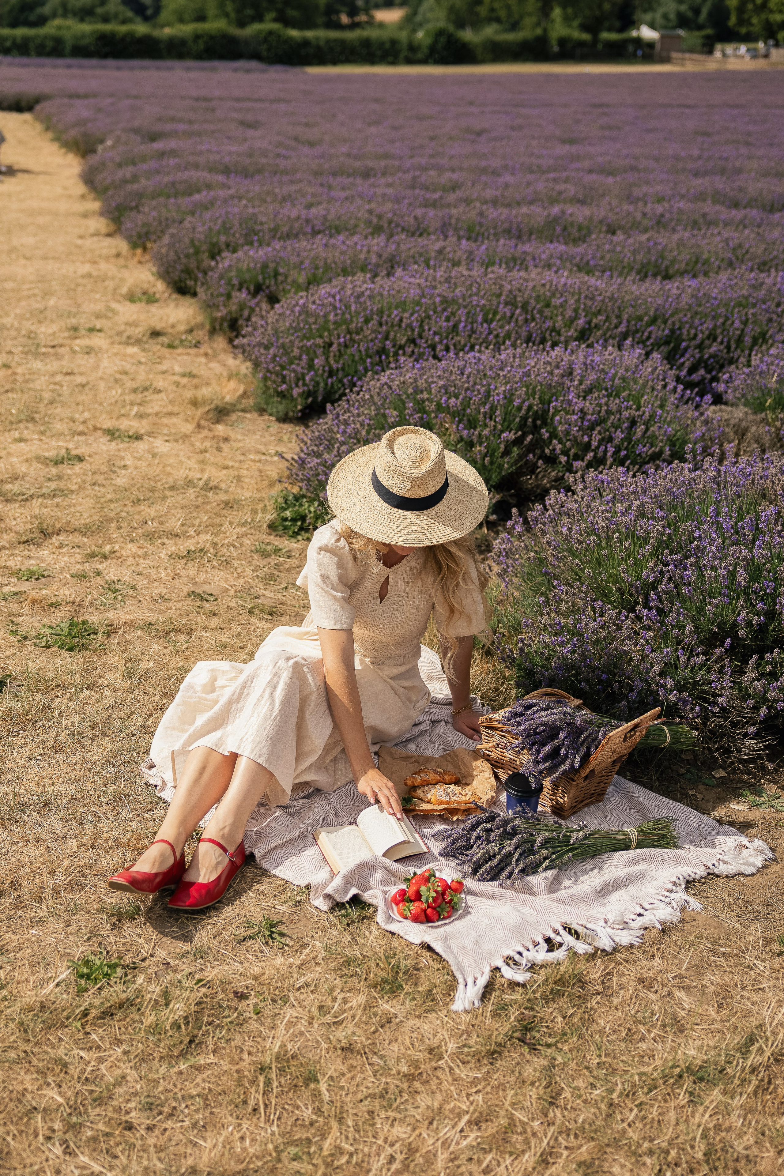 Lavender Picnics. PHOTOGRAPHER IN LONDON