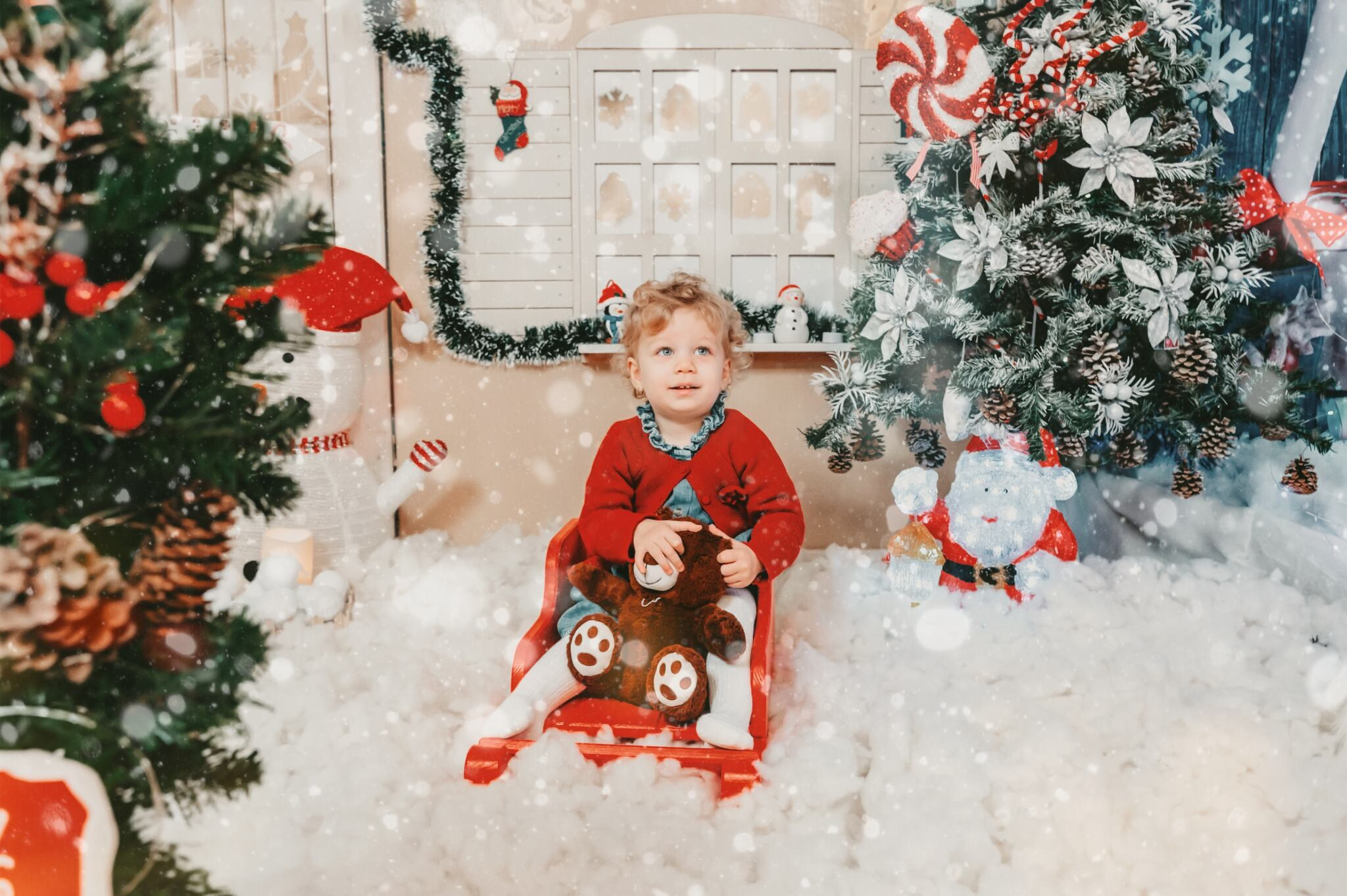 Sedinta Craciun Lucian