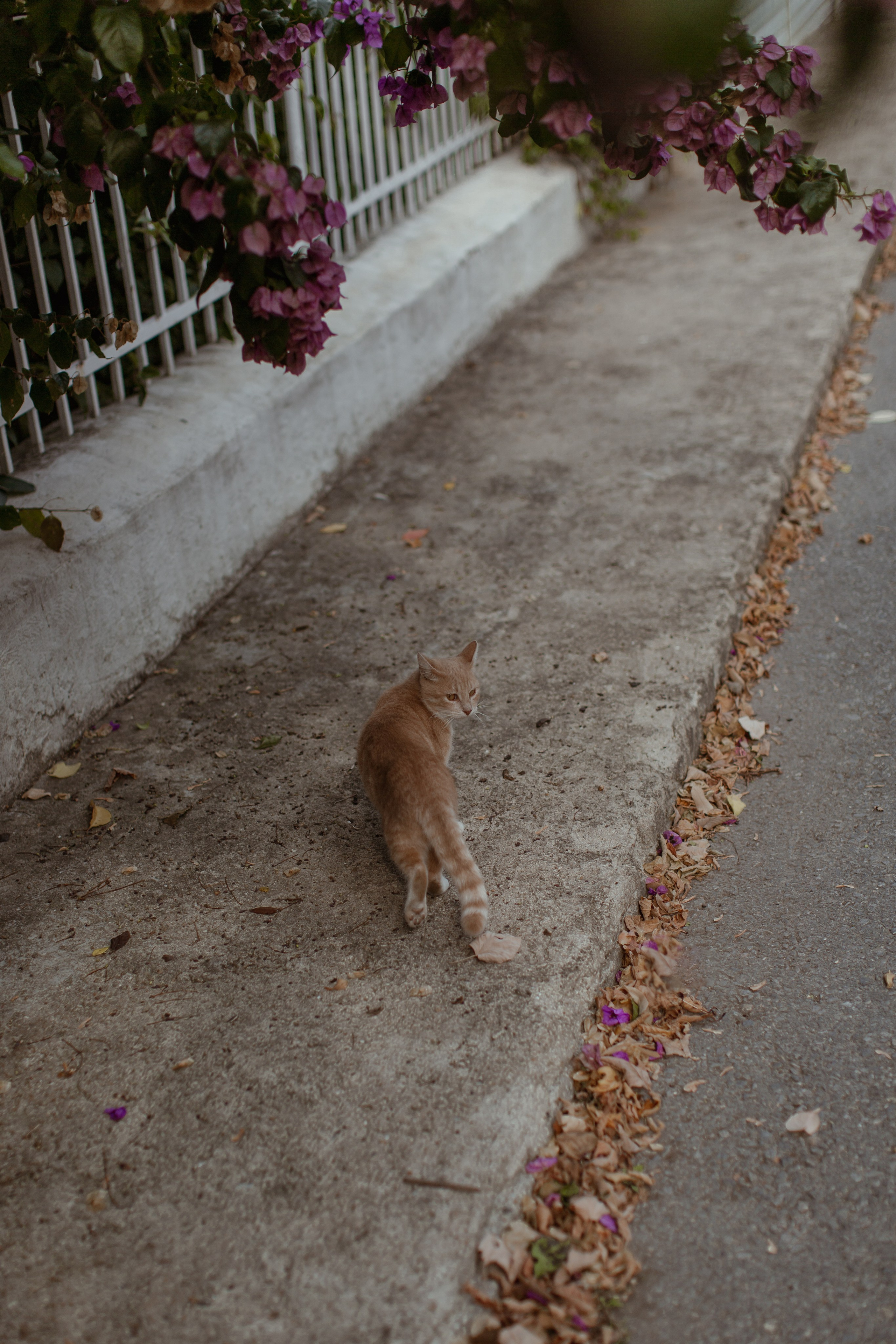 Татьяна. Отпуск на Принцевых островах. True self