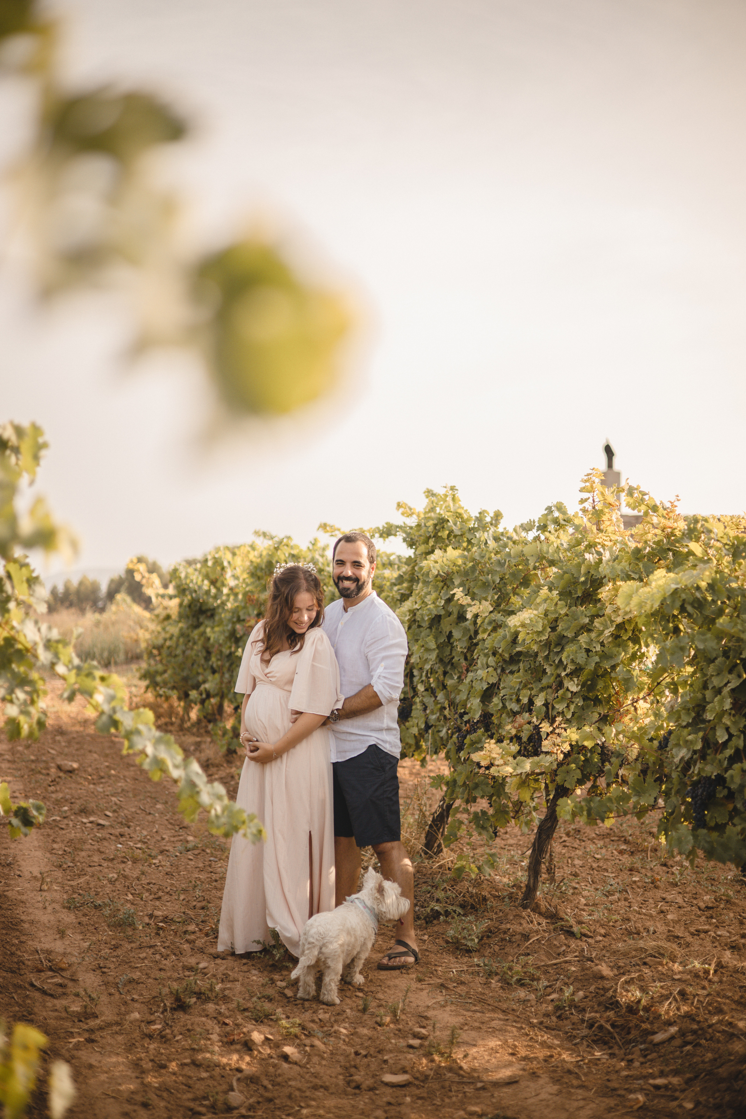 Vineyard. Photographer Videographer Spain Barcelona Tarragona