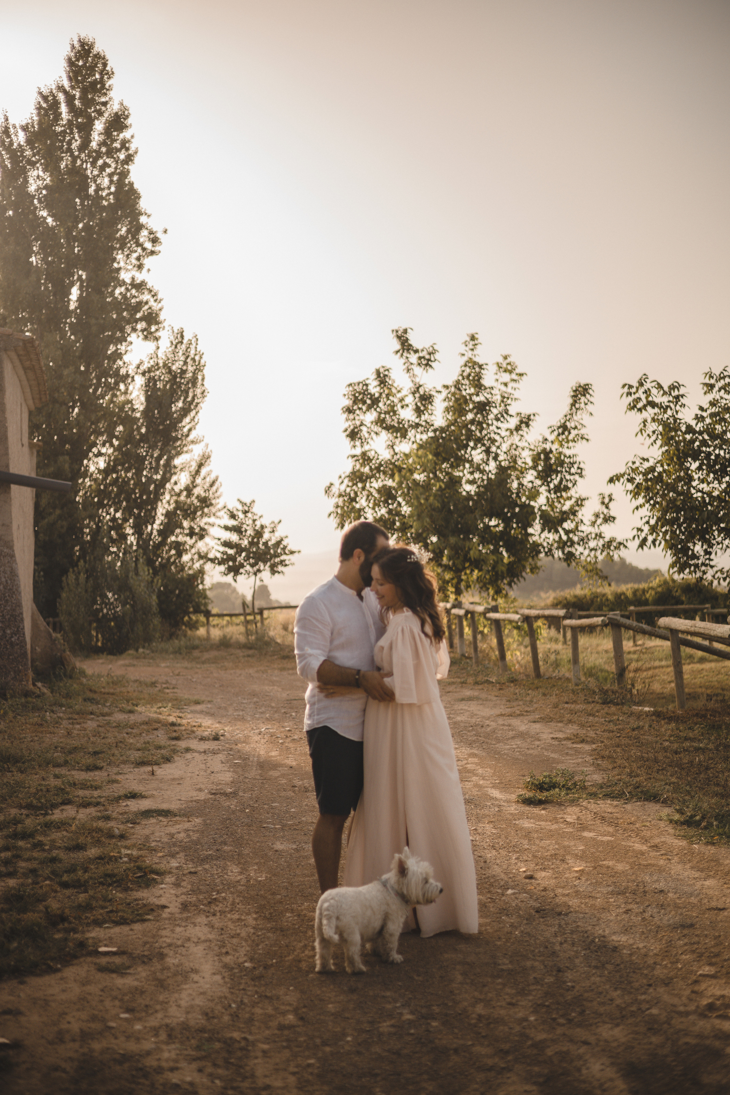 Vineyard. Photographer Videographer Spain Barcelona Tarragona