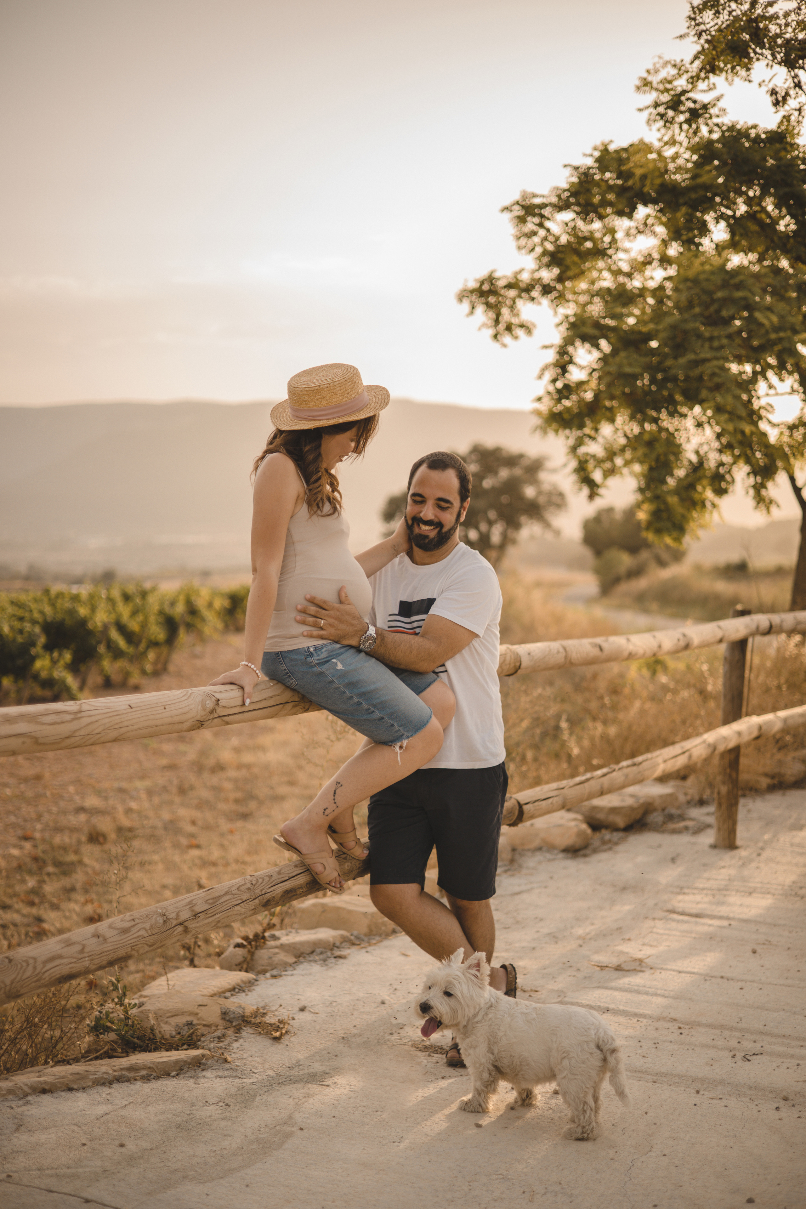 Vineyard. Photographer Videographer Spain Barcelona Tarragona