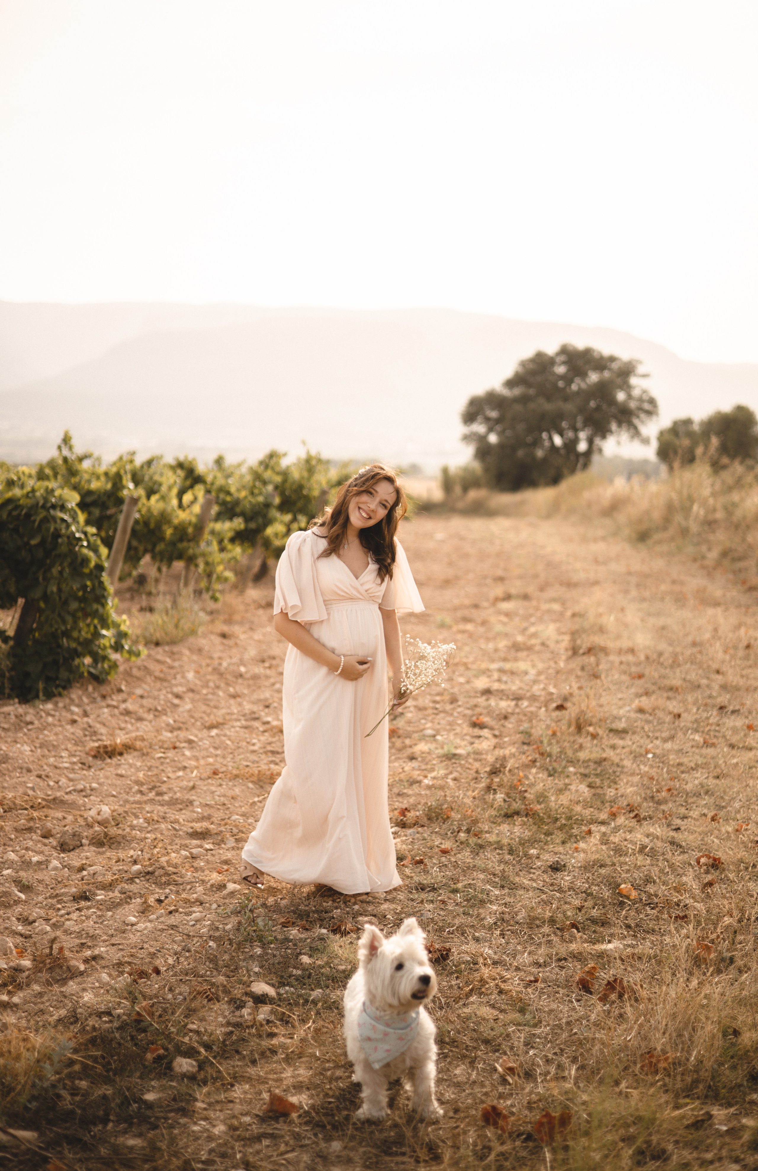 Vineyard. Photographer Videographer Spain Barcelona Tarragona