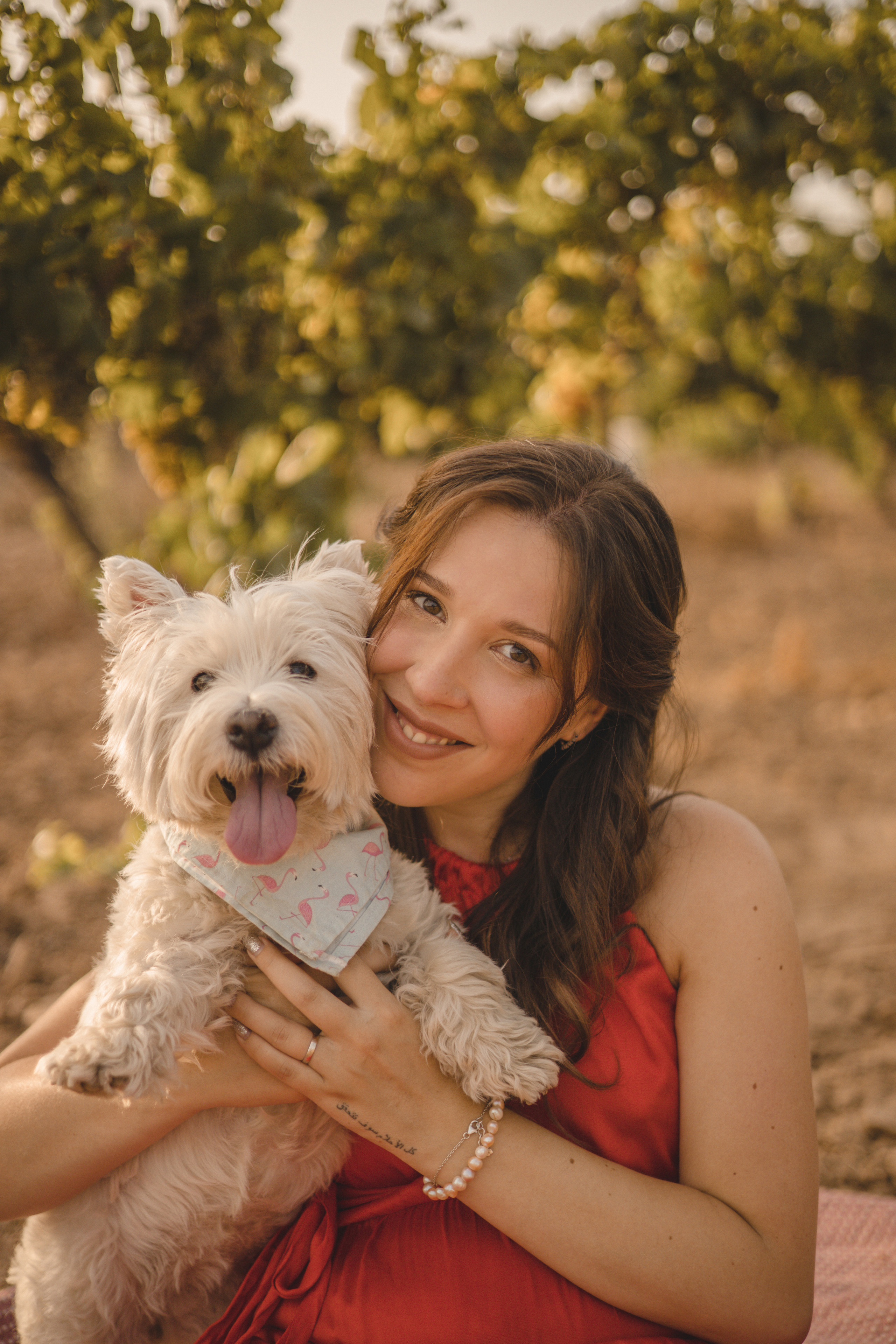 Vineyard. Photographer Videographer Spain Barcelona Tarragona