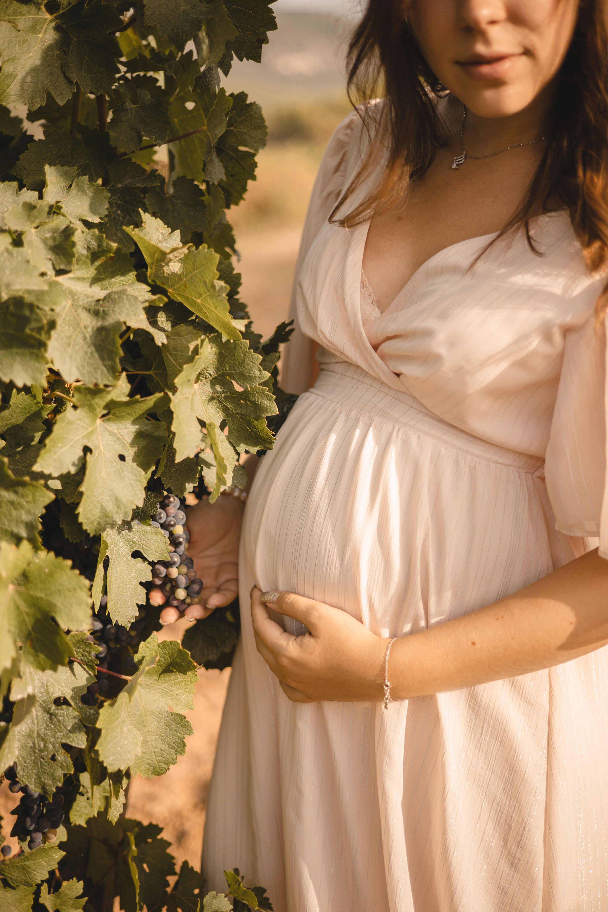 Vineyard. Photographer Videographer Spain Barcelona Tarragona