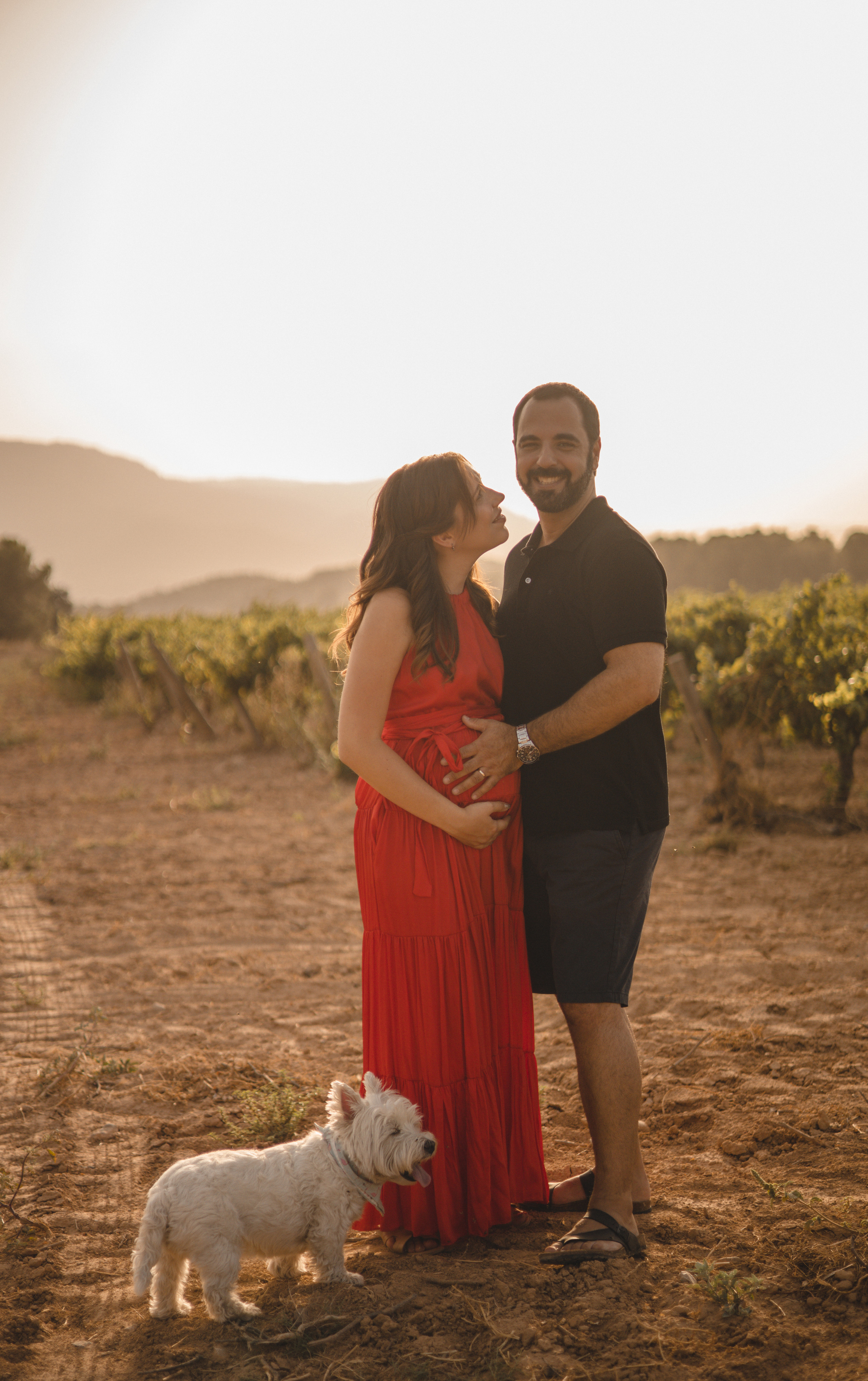 Vineyard. Photographer Videographer Spain Barcelona Tarragona