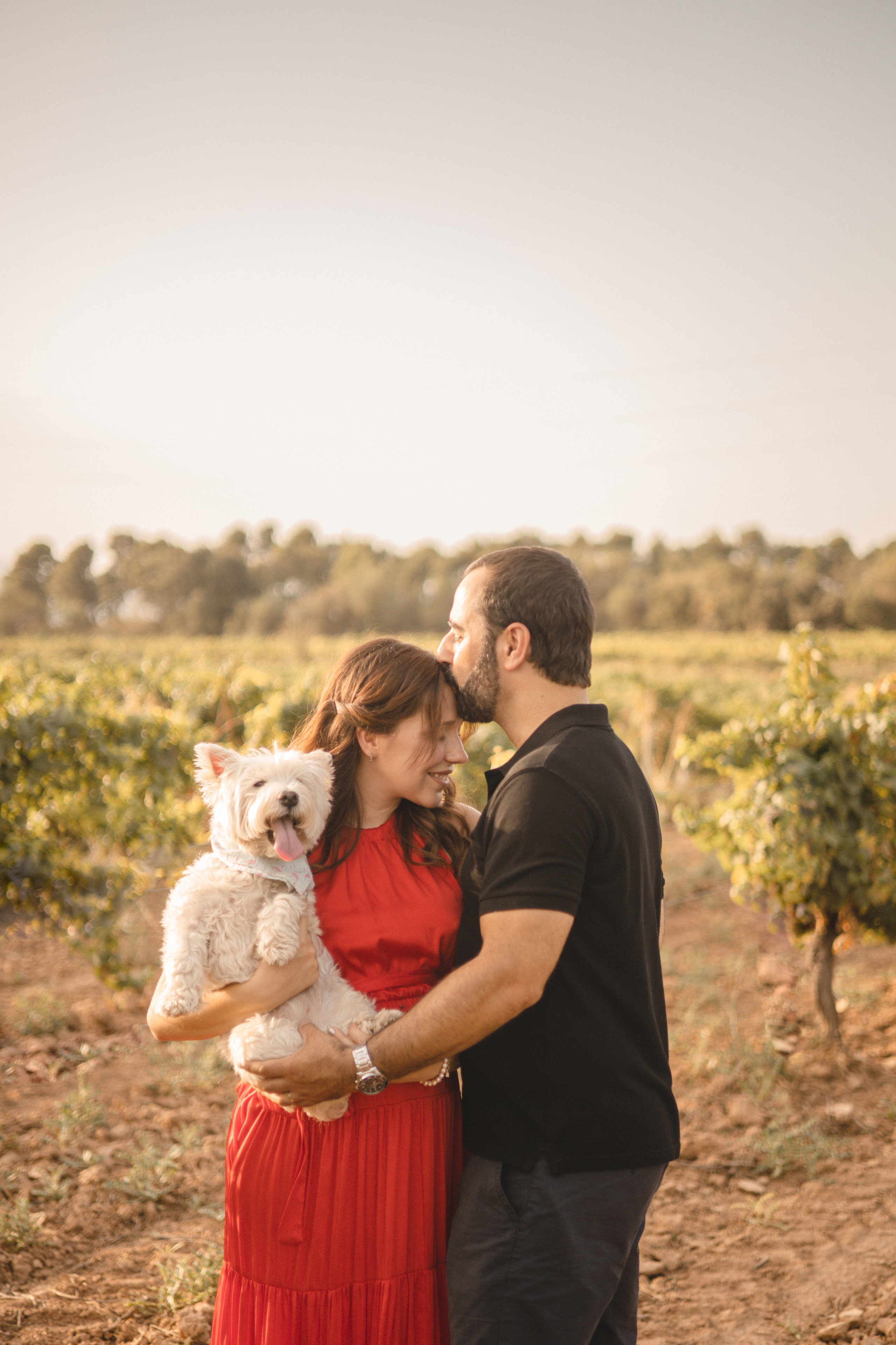Vineyard. Photographer Videographer Spain Barcelona Tarragona