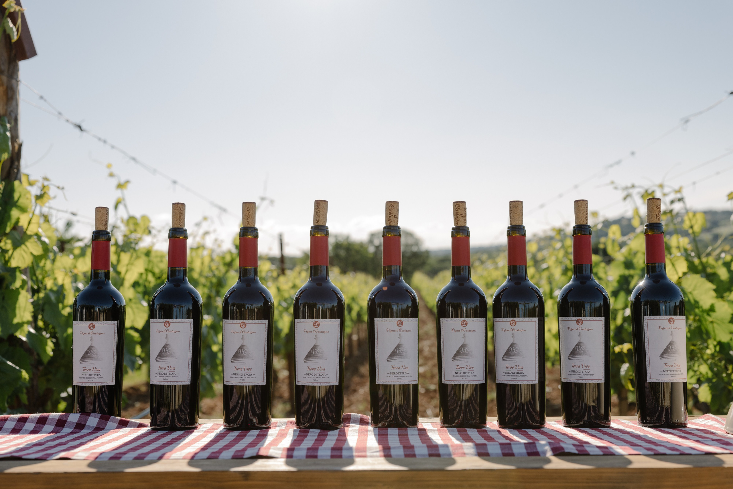 2. Весільний фотограф Вікторія Саврук