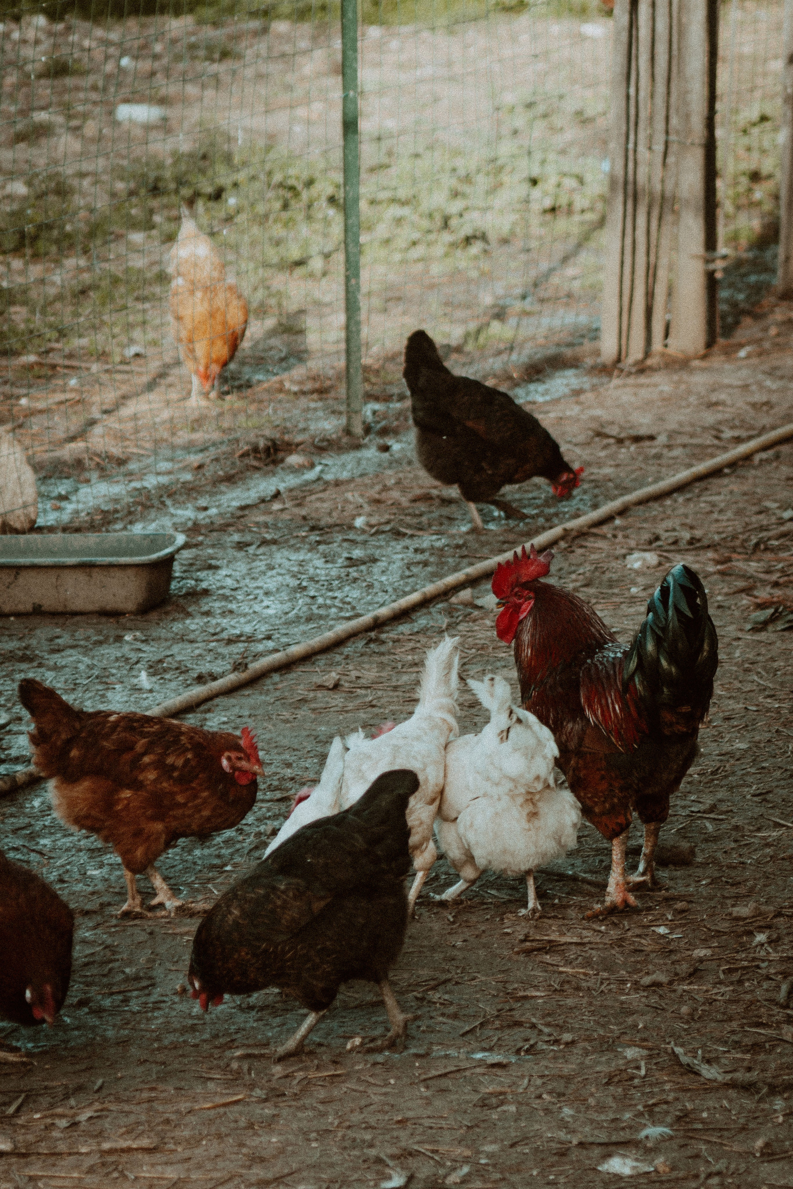 La Coudoulière, Saint Mandrier. Photographe à la Seyne sur Mer, Var
