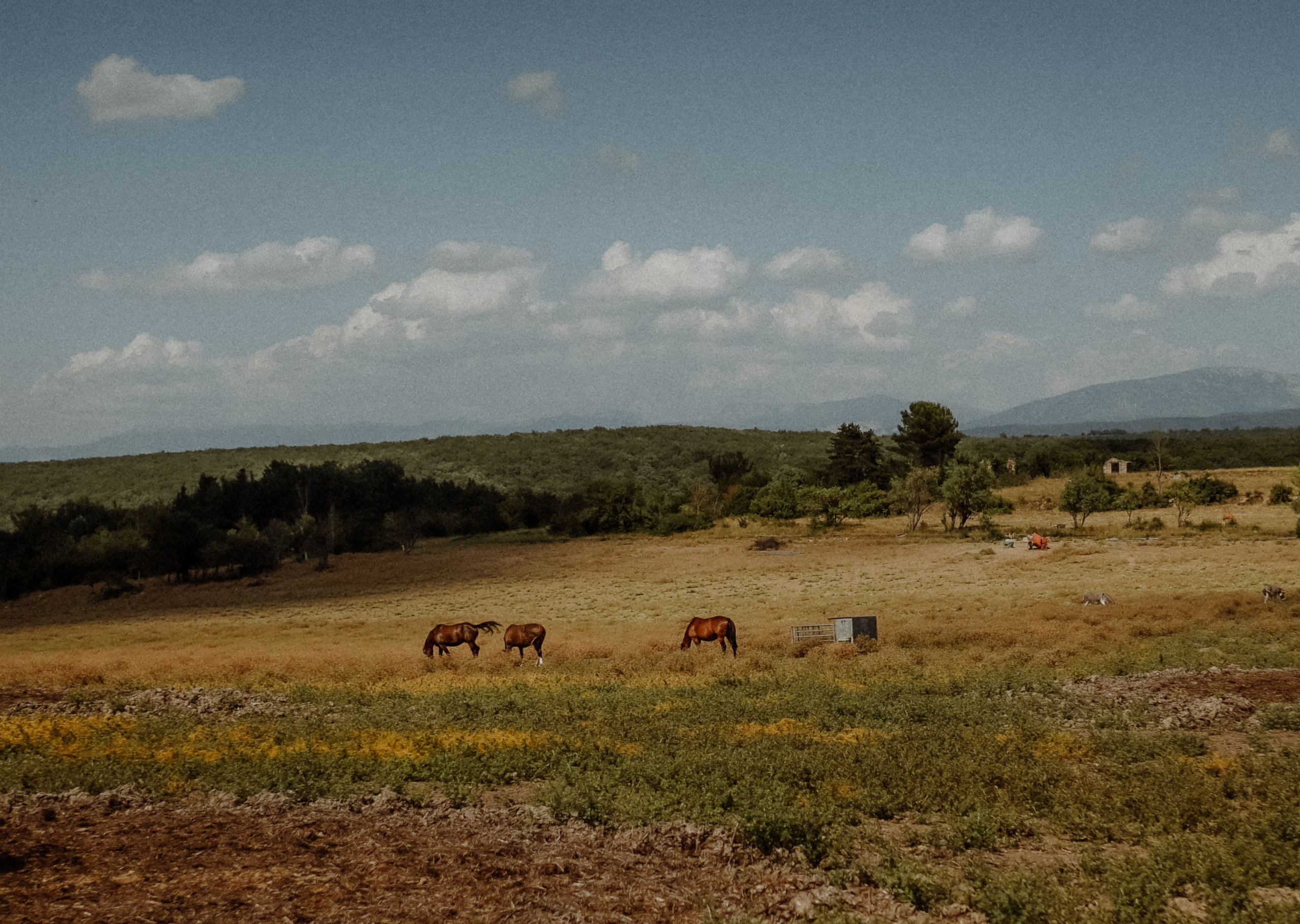 Photographe à la Seyne sur Mer, Var
