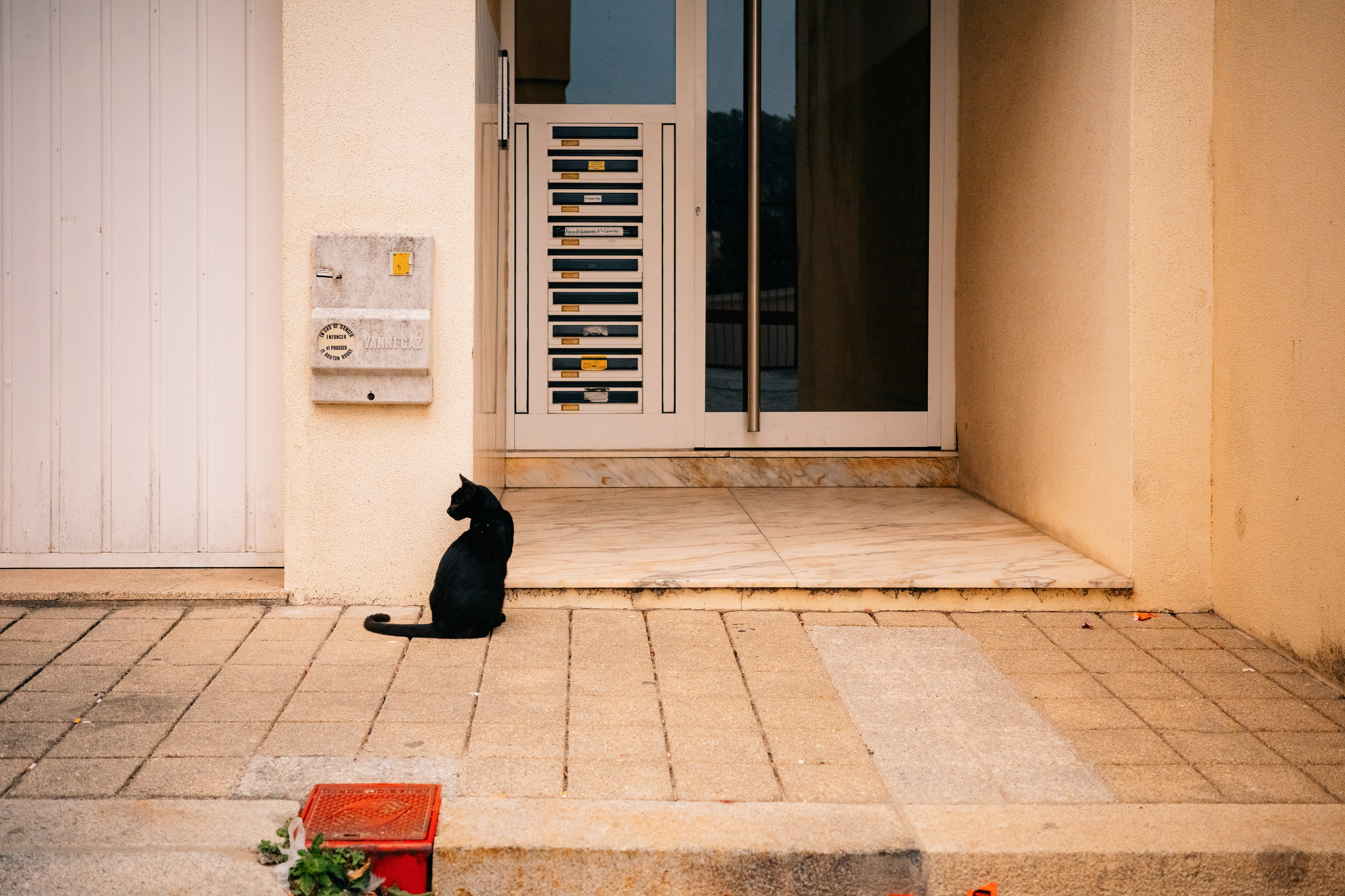 Street. Maria Sher. Professional photographer from Porto, Portugal