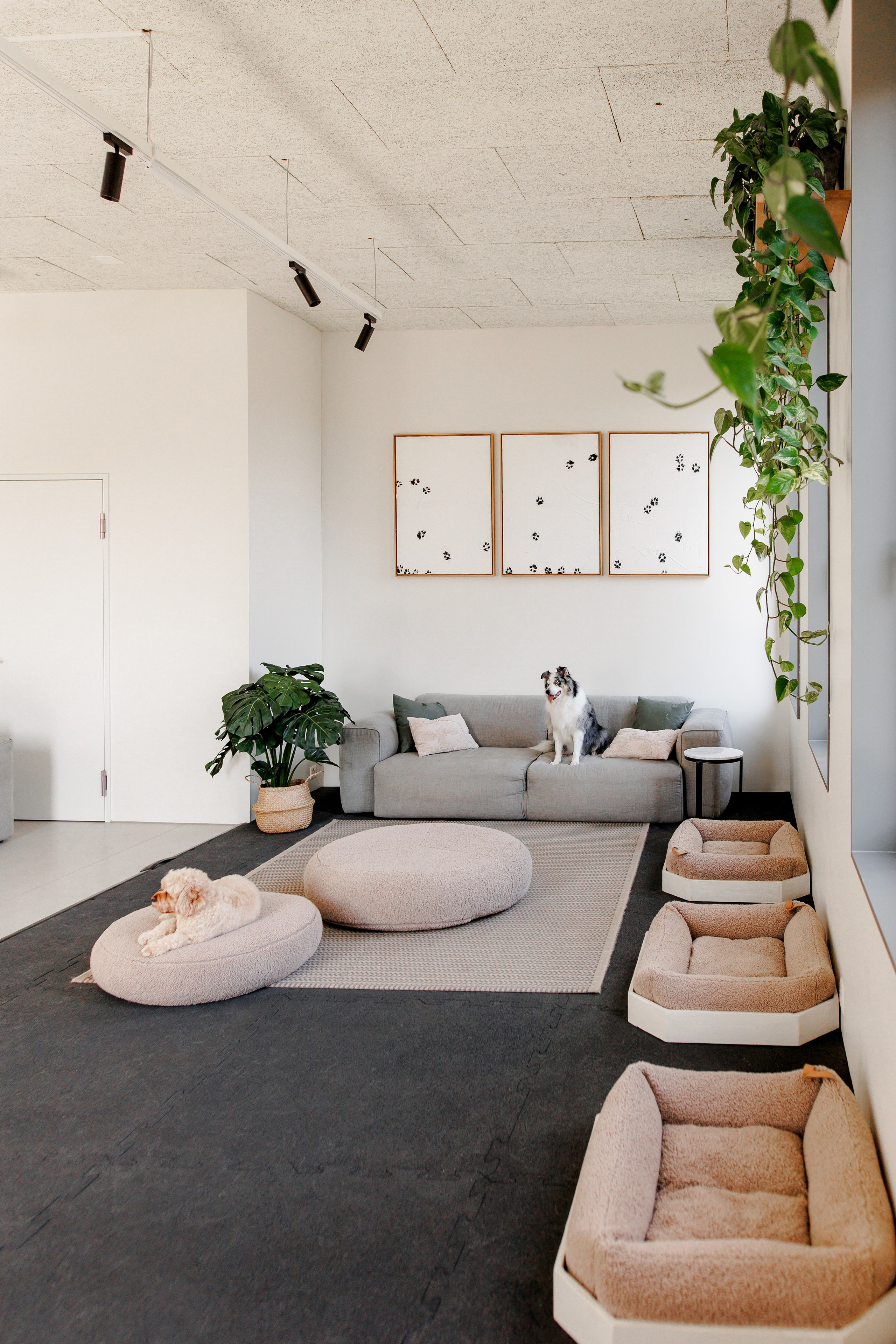 Bark & Bones. Familien- & Hochzeitsfotografin Schweiz. Valeria Diaz in Zürich und Umgebung