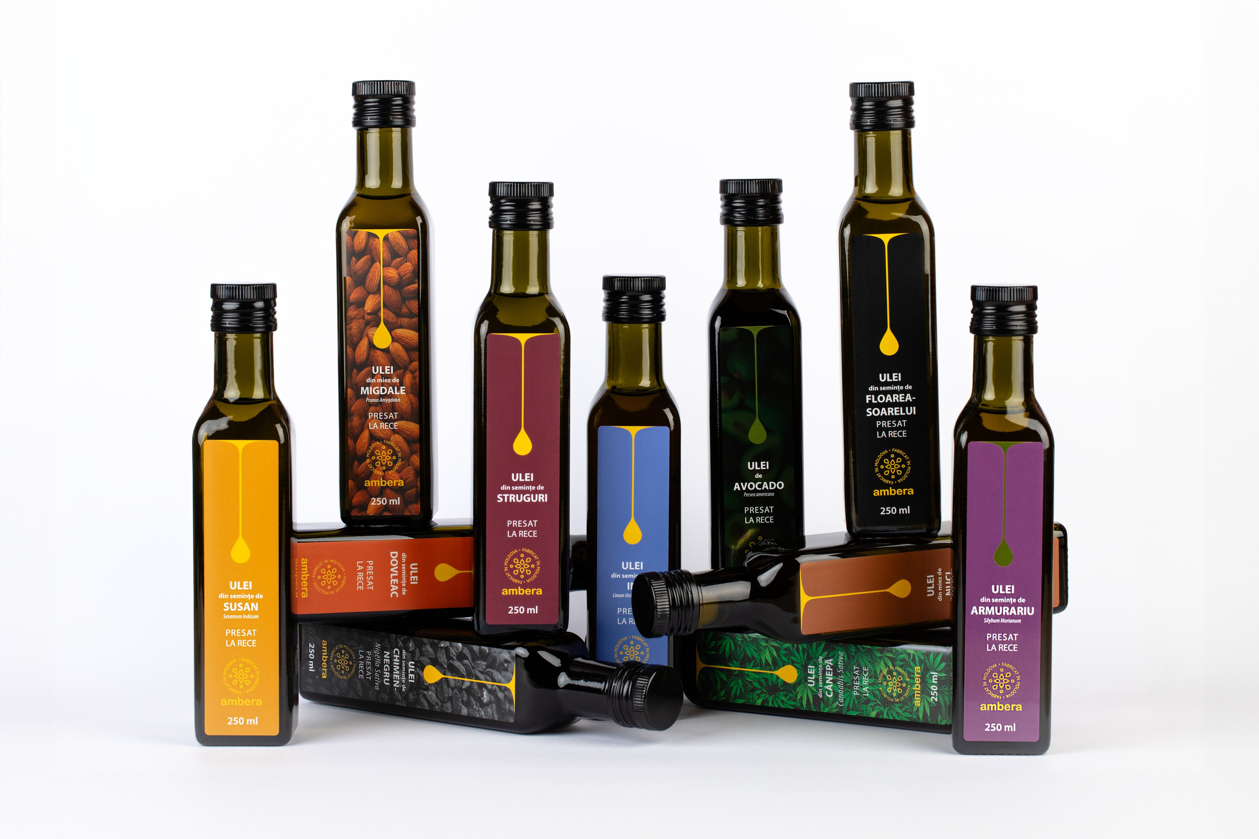 Catalog. Fotograf și Videograf | Chișinău, Moldova