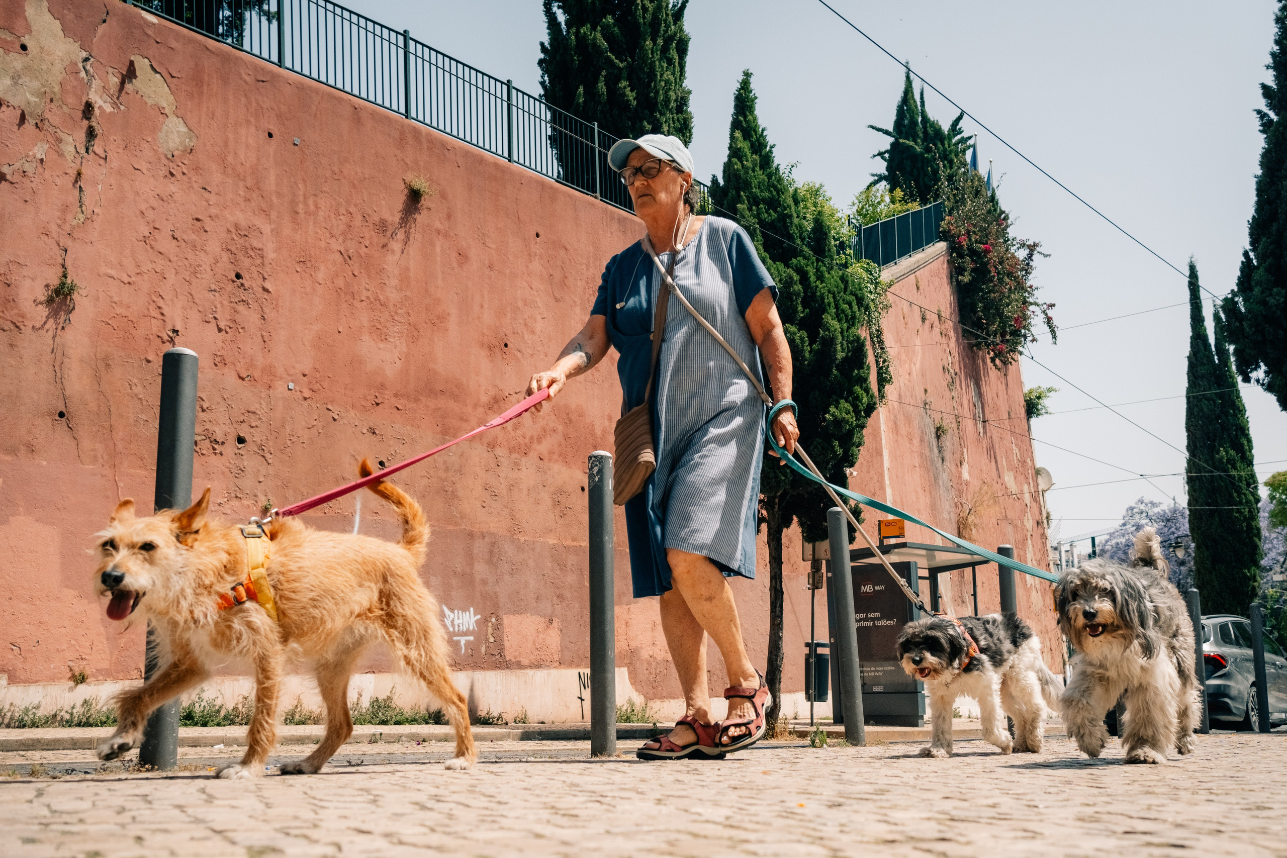 Street. Maria Sher. Professional photographer from Porto, Portugal