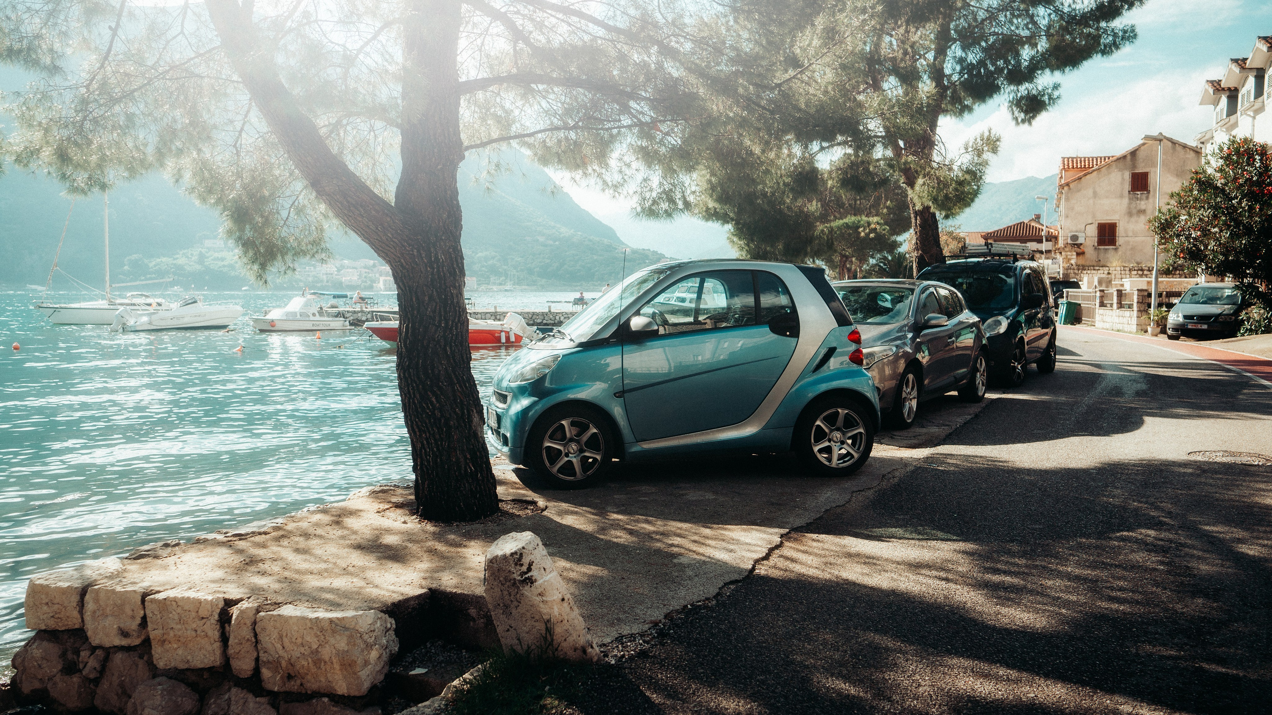 Roaming. Mike Avelli