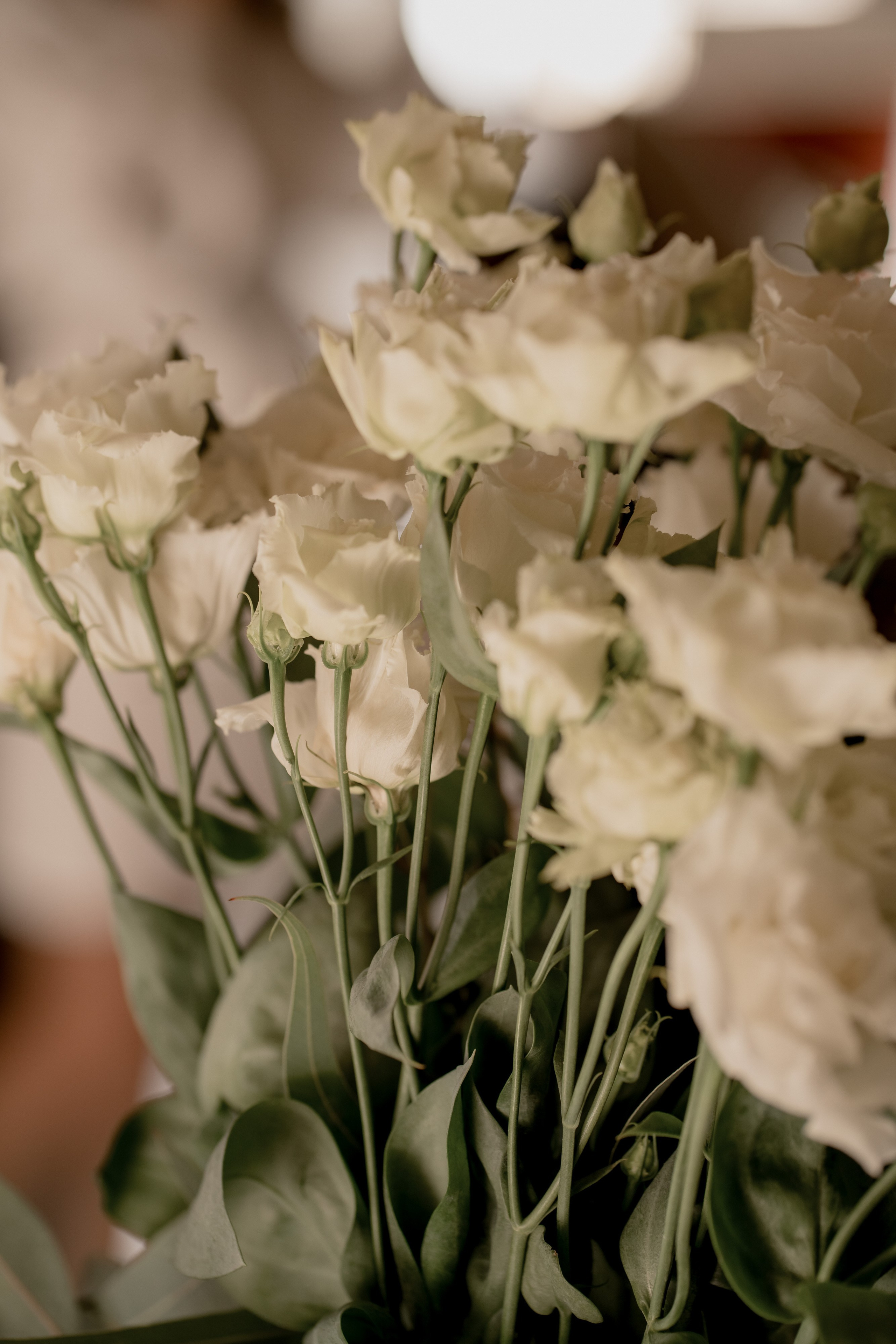 PANTELIS & MELPOMENI