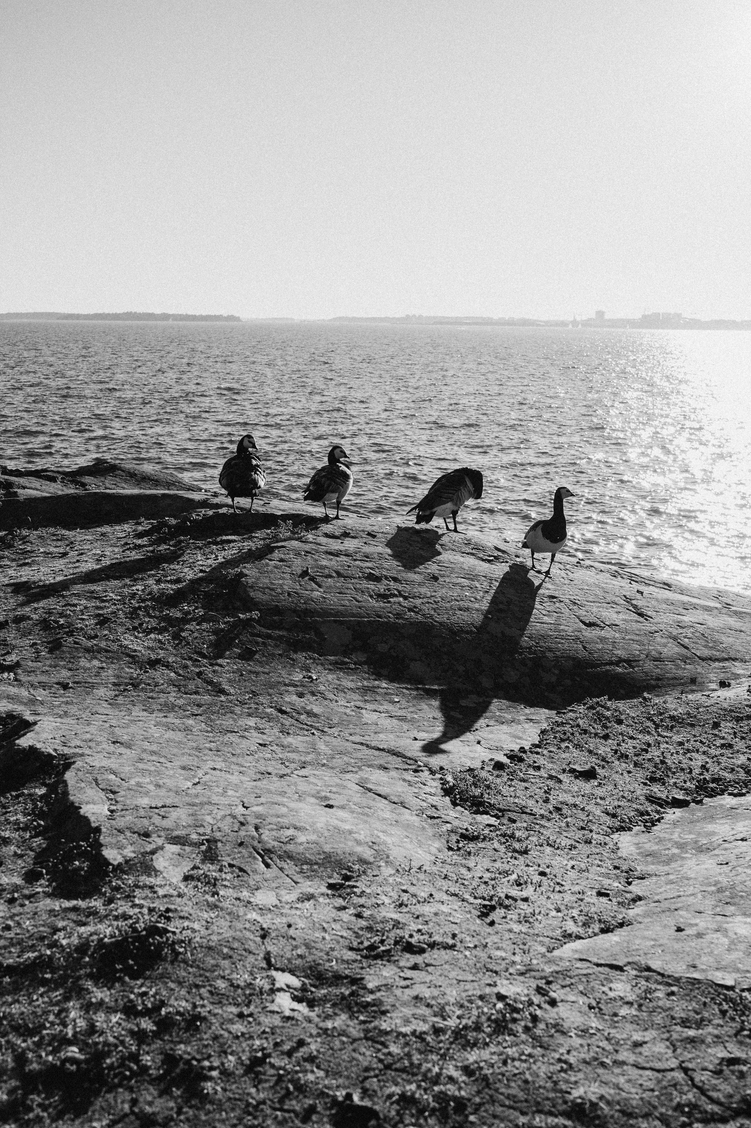 Beloved. Wedding and portrait photographer in Helsinki Vickan O