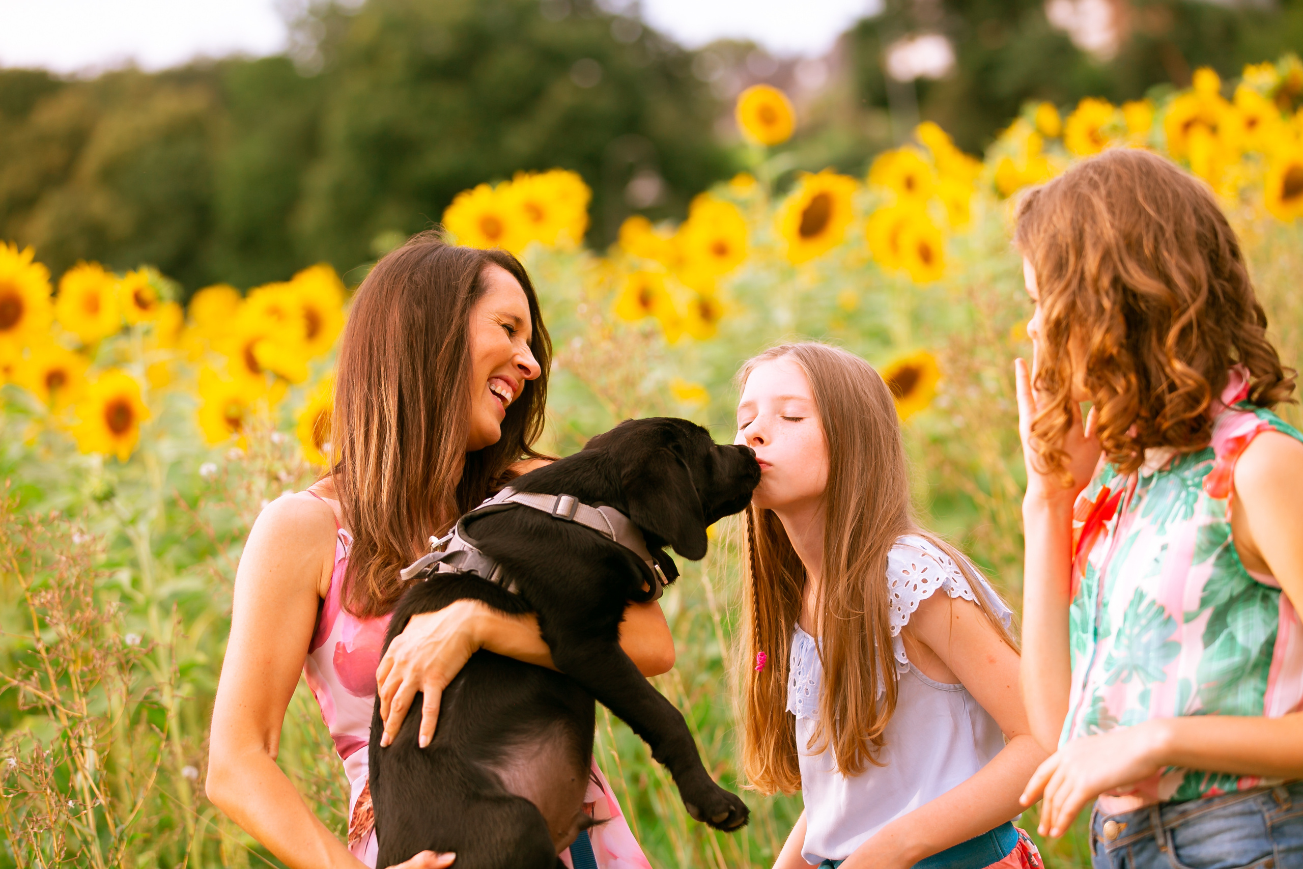Familienbilder. Hochzeit und Familien Fotografin aus Weilerswist Natalie Schott