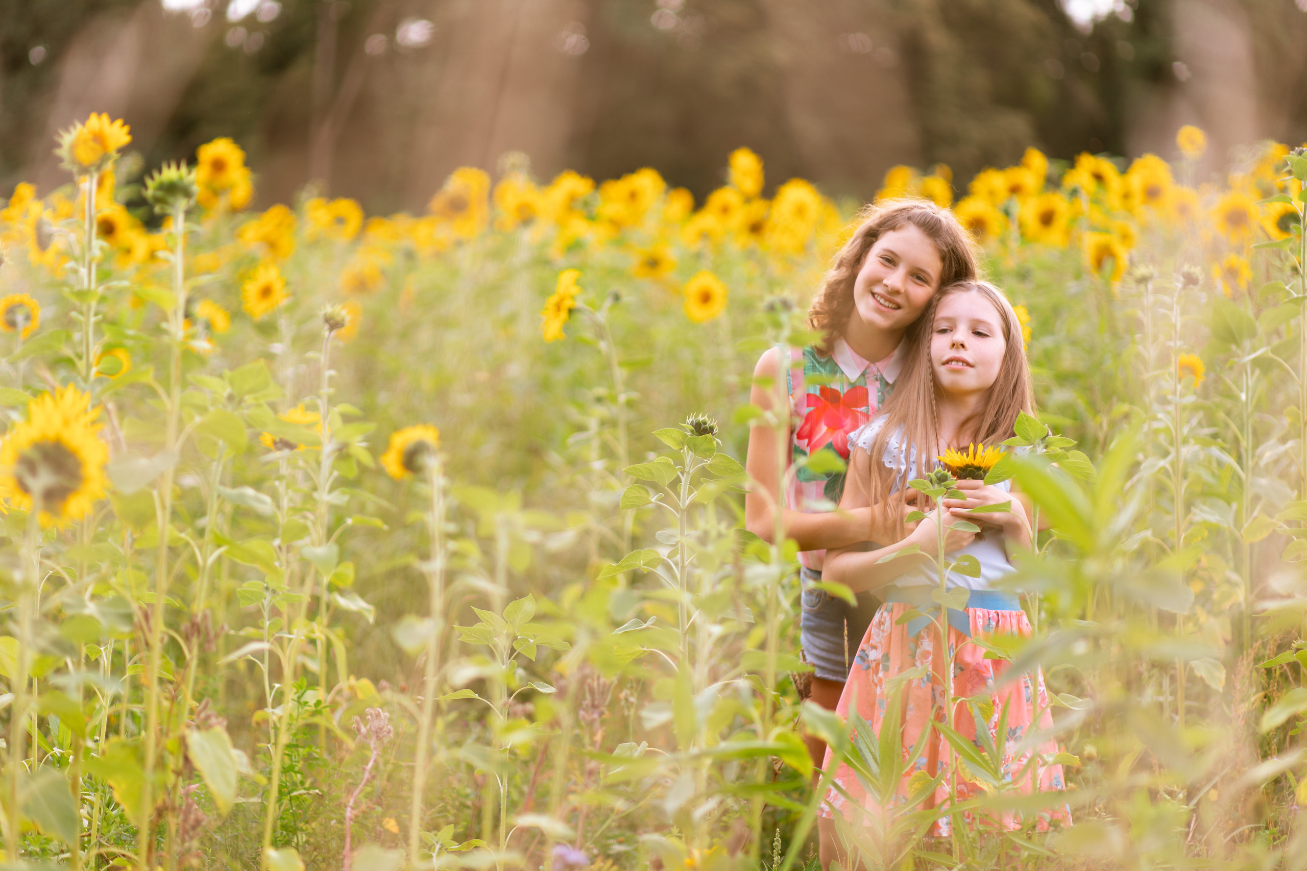Familienbilder. Hochzeit und Familien Fotografin aus Weilerswist Natalie Schott