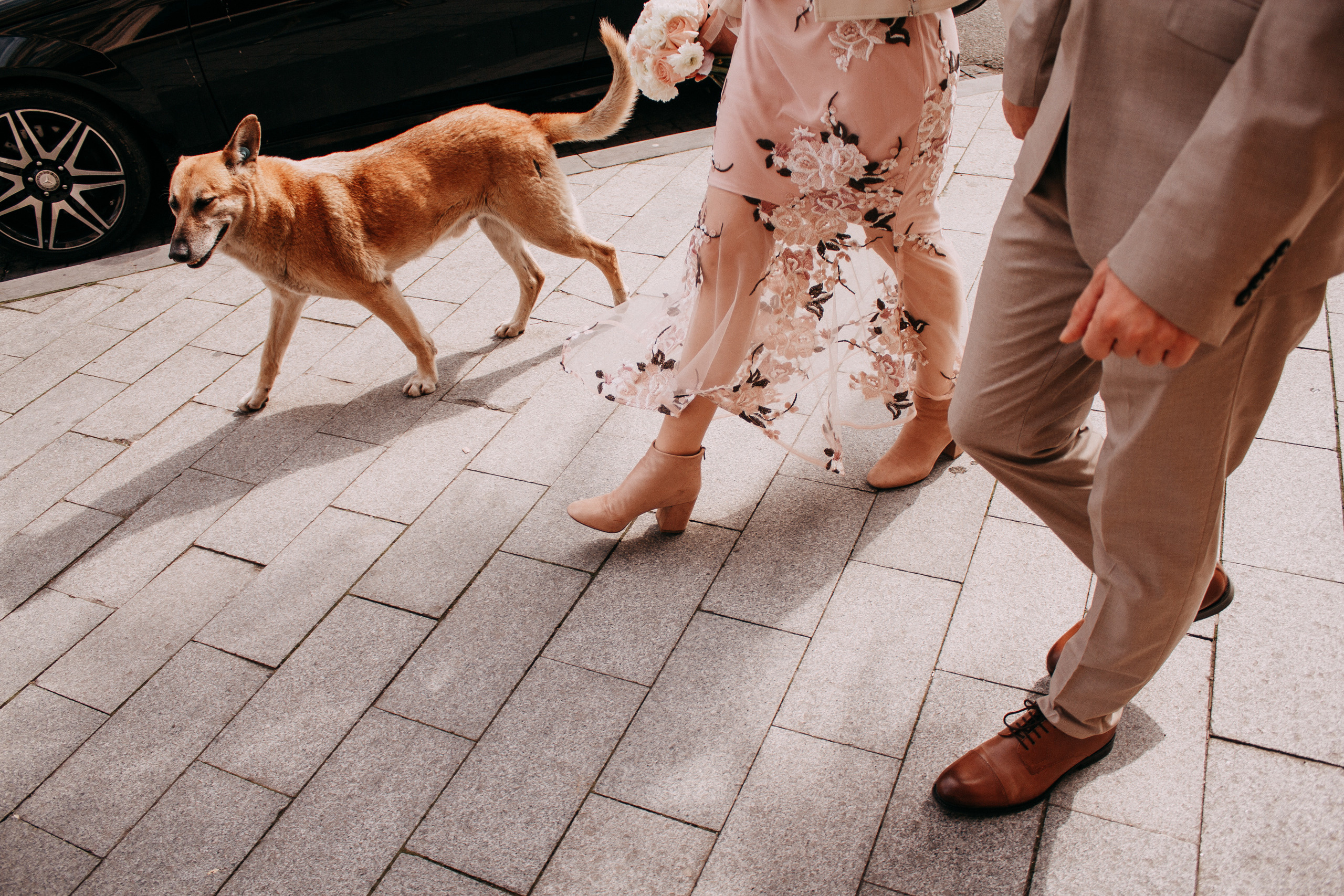 Julia and Evgeny. Wedding and portrait photographer in Beograd Ekaterina Makedonskaya