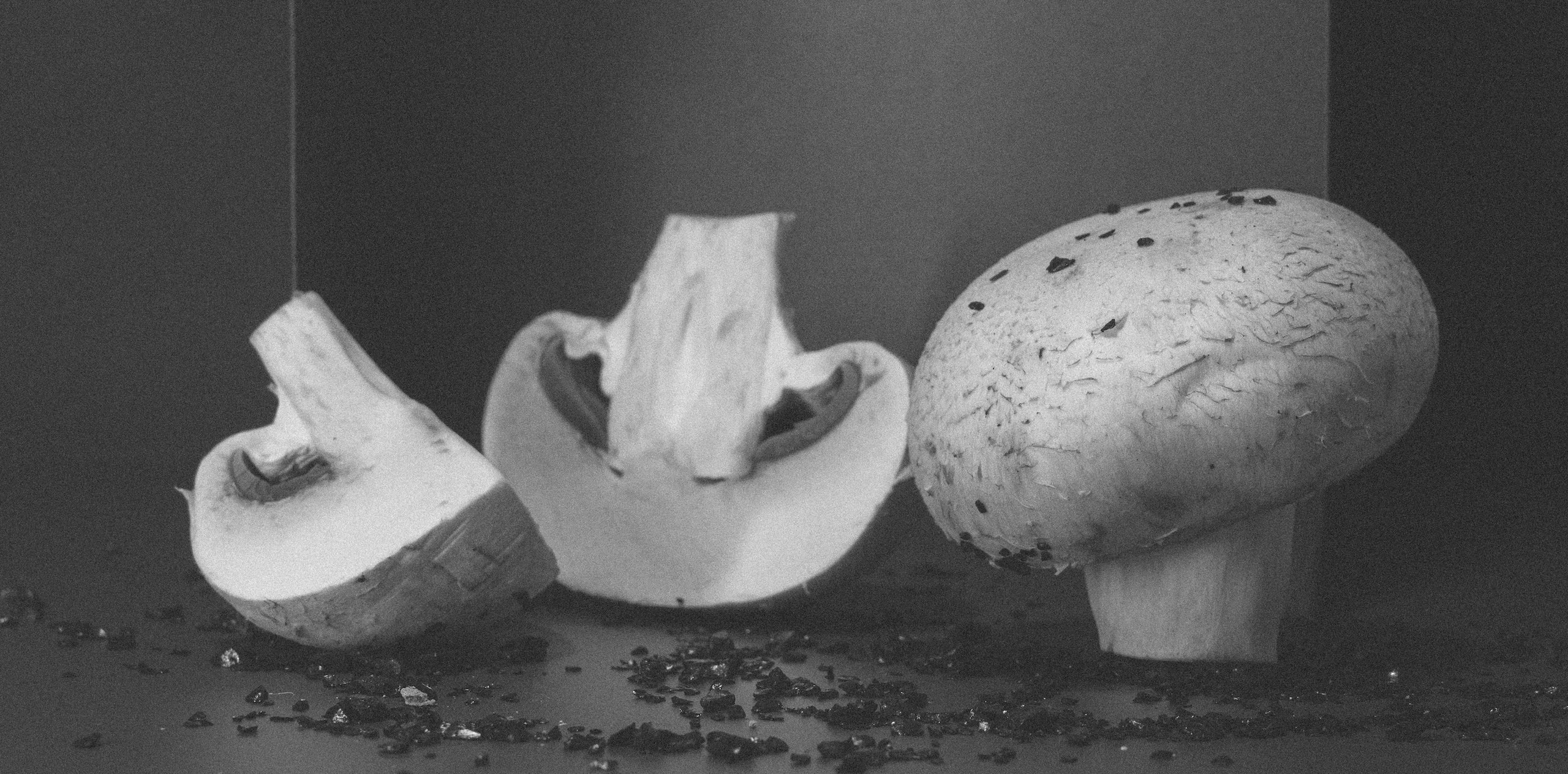 Factory (2023). Антонова | фото