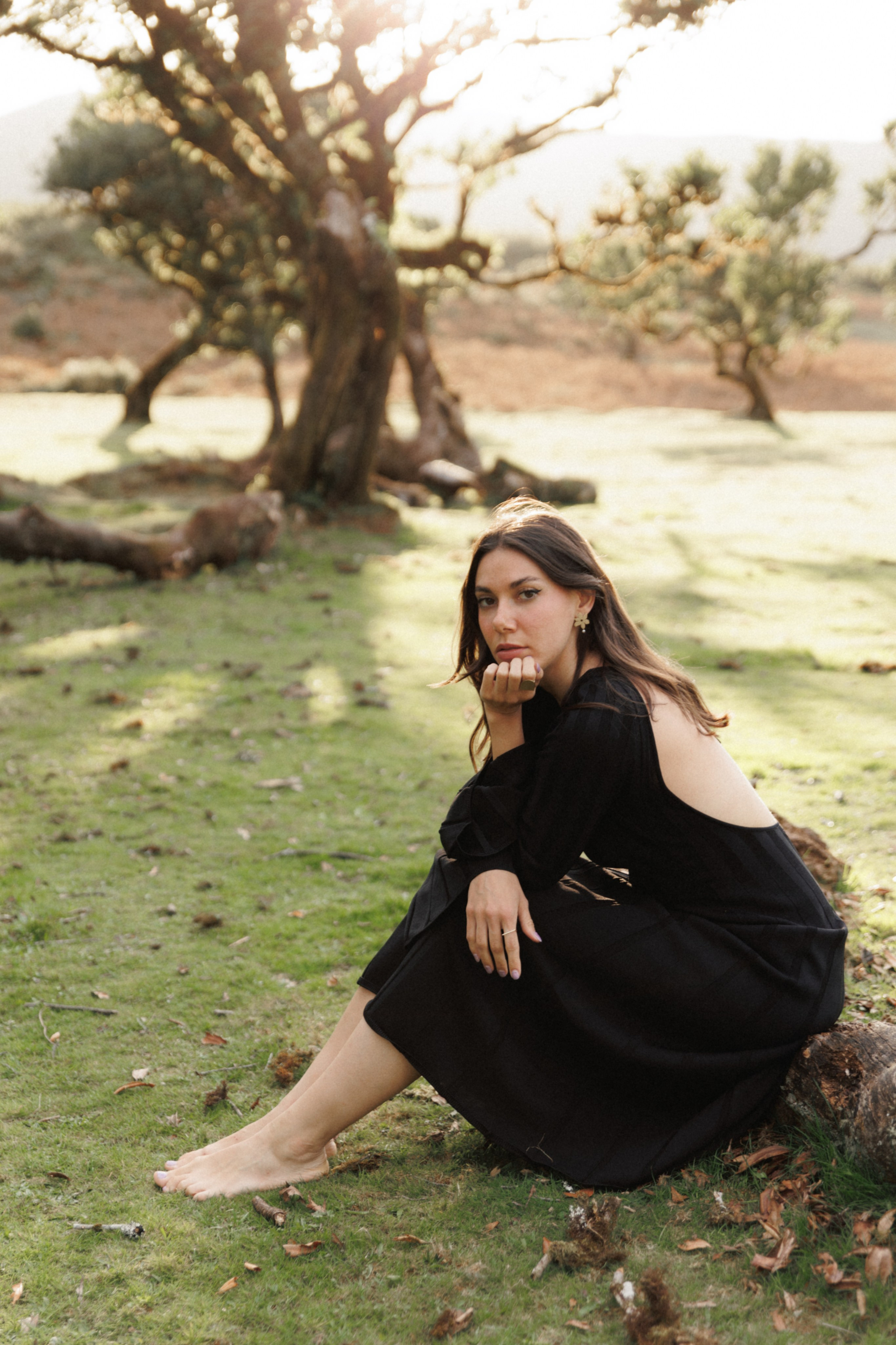 Lost in Madeira. Patricia Morenci — Mountain Adventures for the Wild at Heart