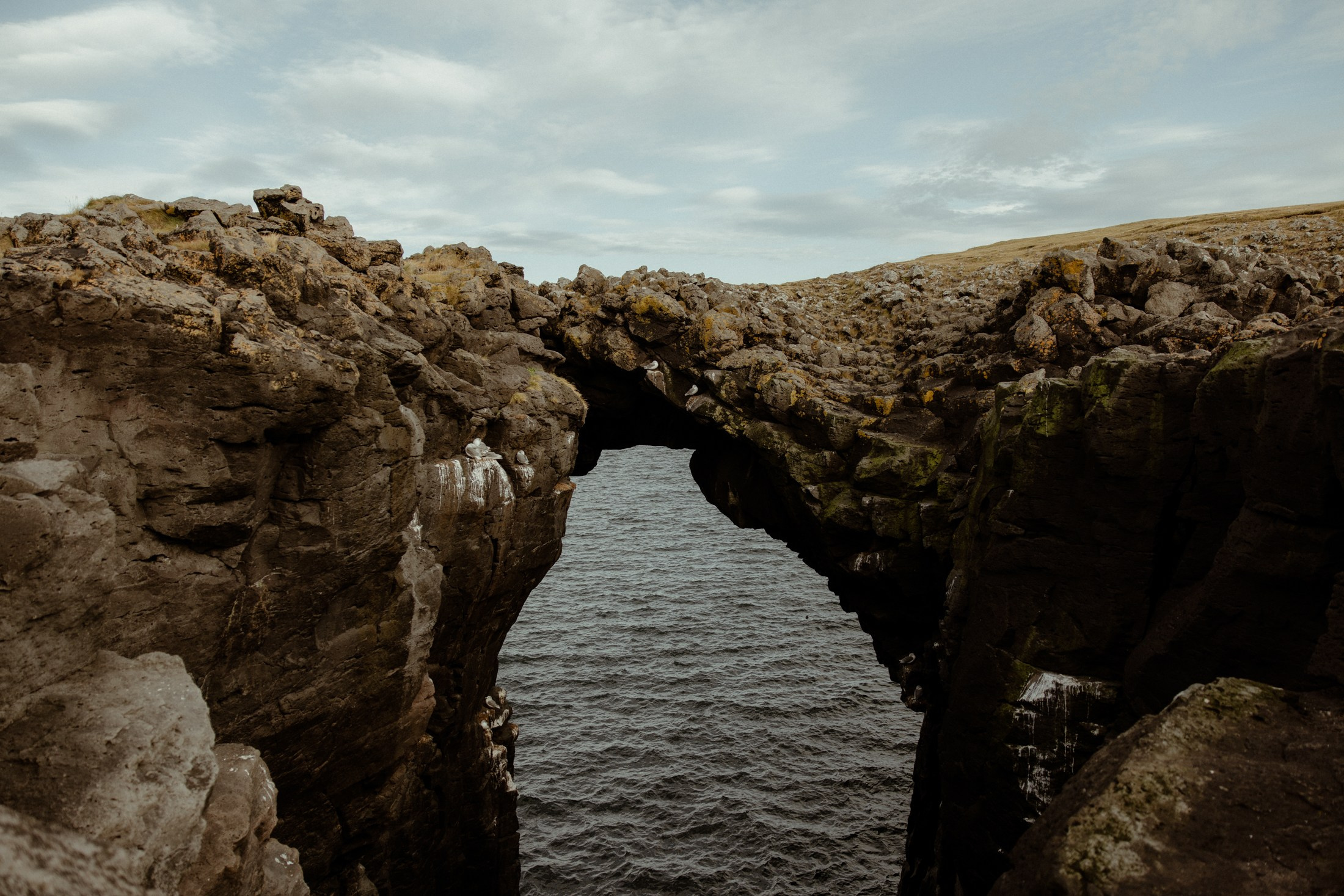 Iceland elopement at Budir Black Church | Snæfellsnes wedding by Iceland elopement photographer & videographer. Iceland elopement photographer & videographer