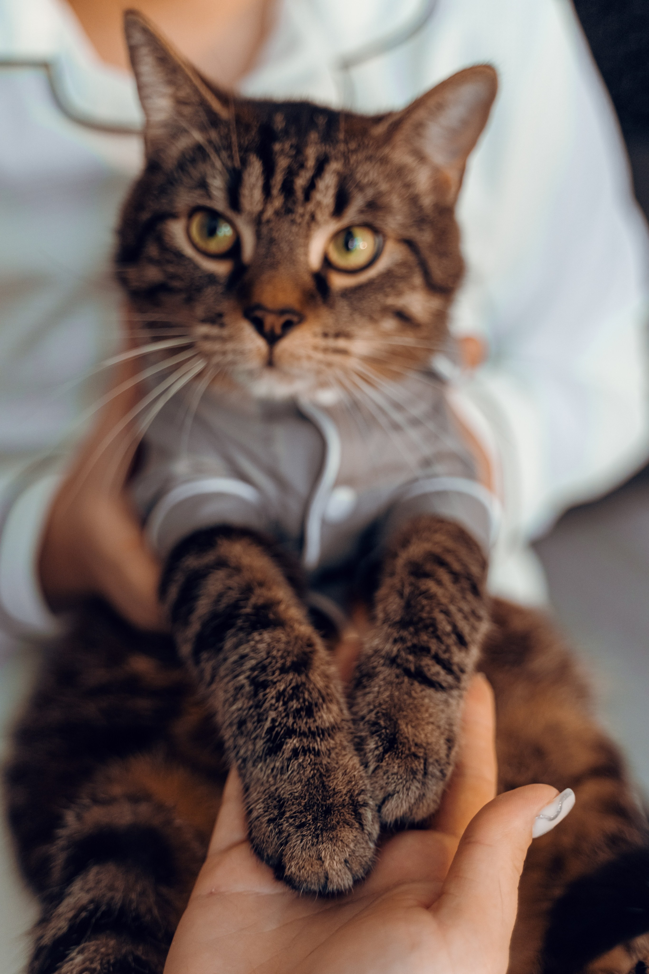 Opinie. Twój rodzinny fotograf