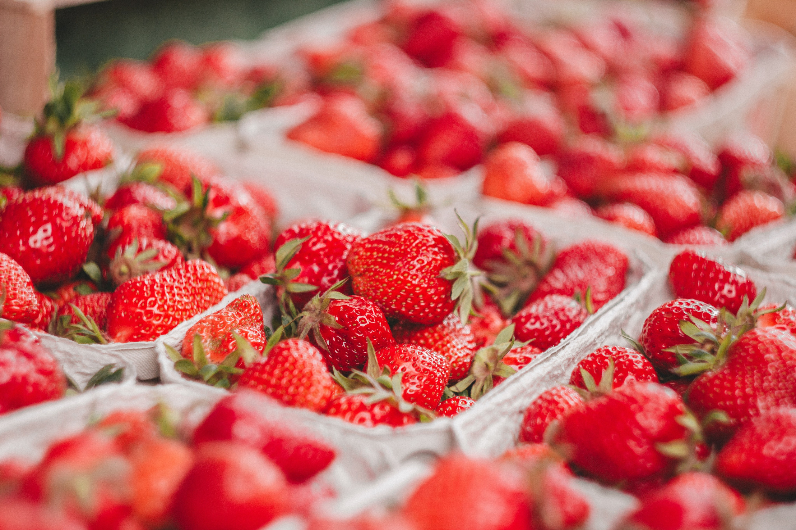 Праздник клубники в Оберкирхе. Фотограф в Германии — Мария Чистякова