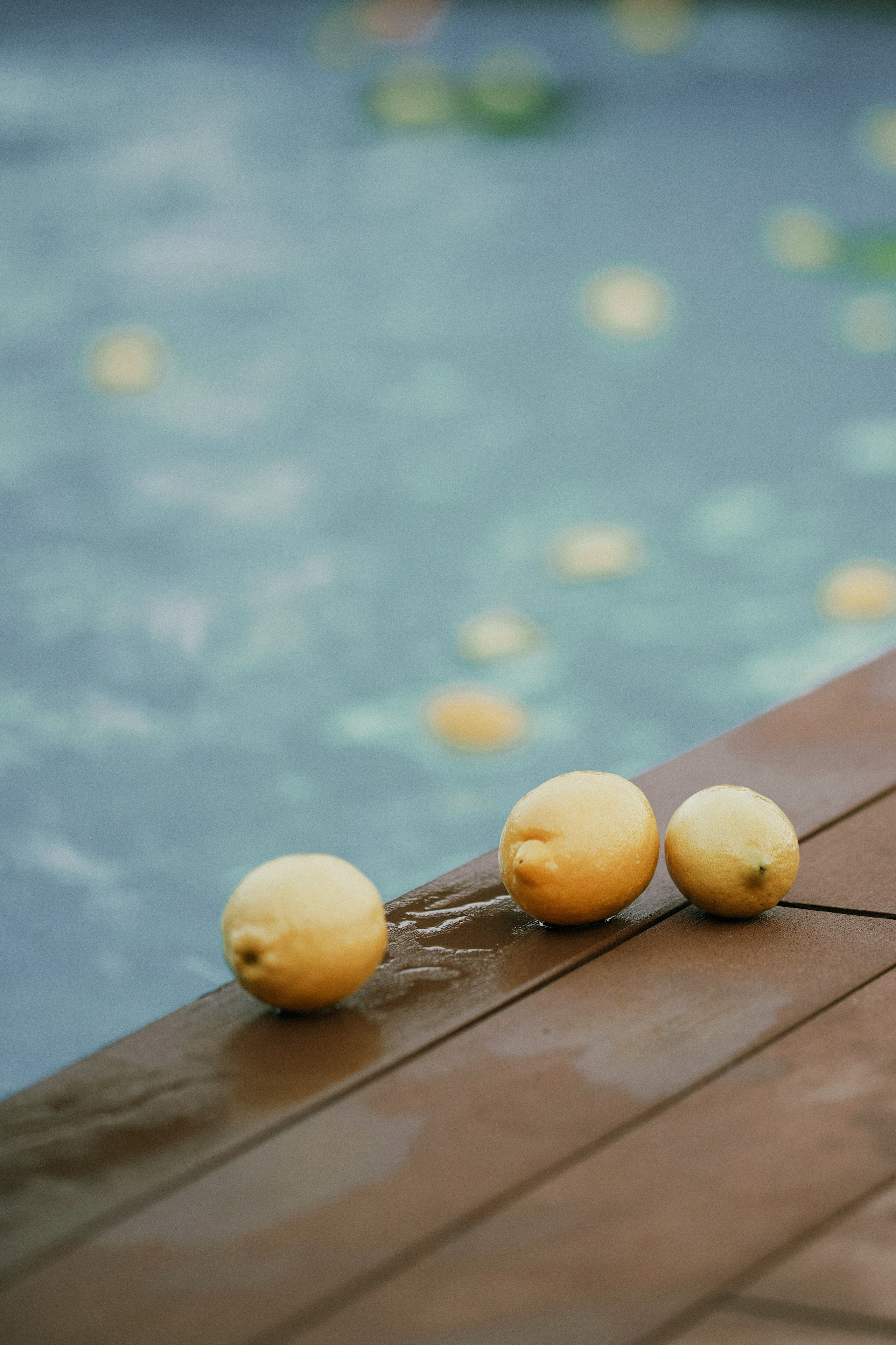 Лимоны. Майя. Фотограф в Барселоне Жанна Захарченко