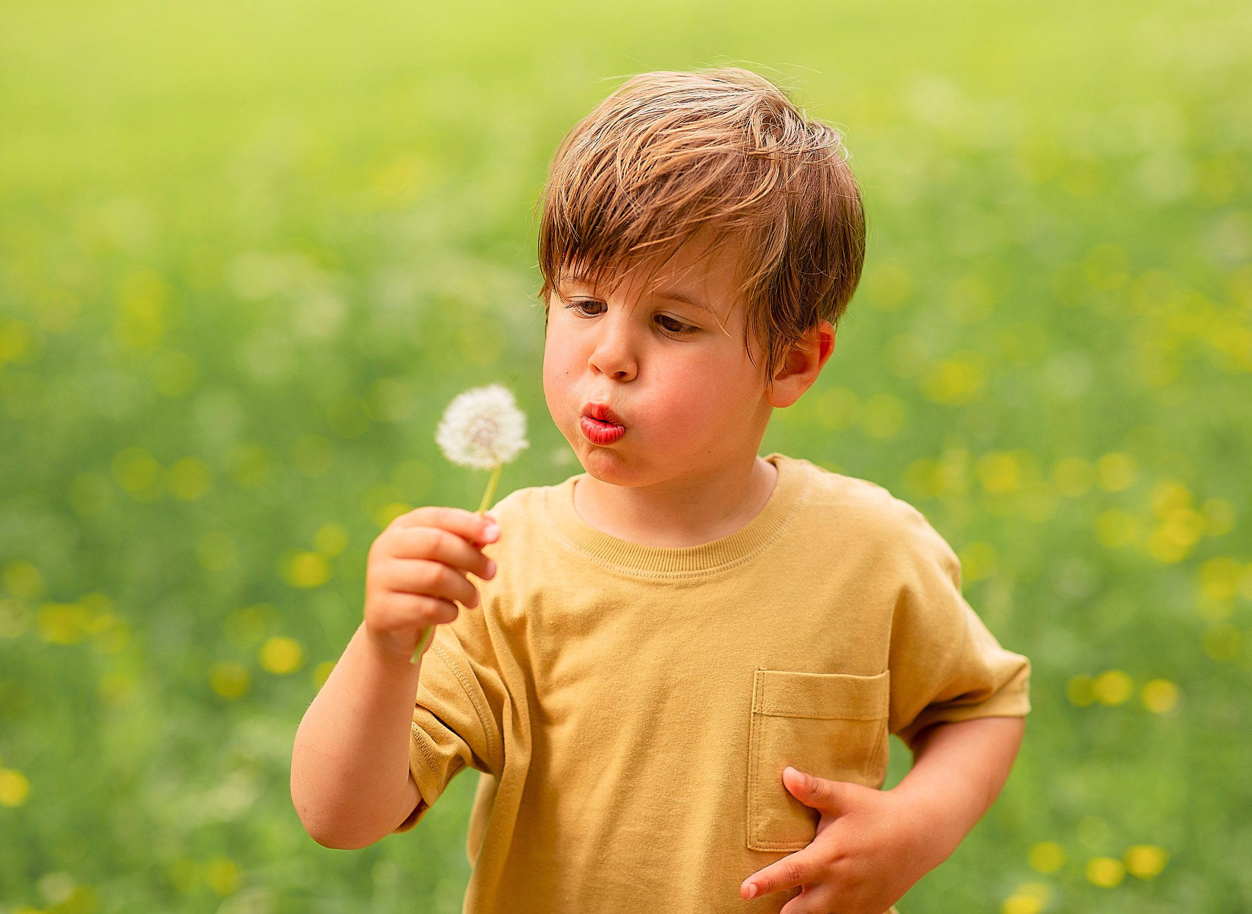 Familie en huwelijksfotograaf in Zwolle Overijssel