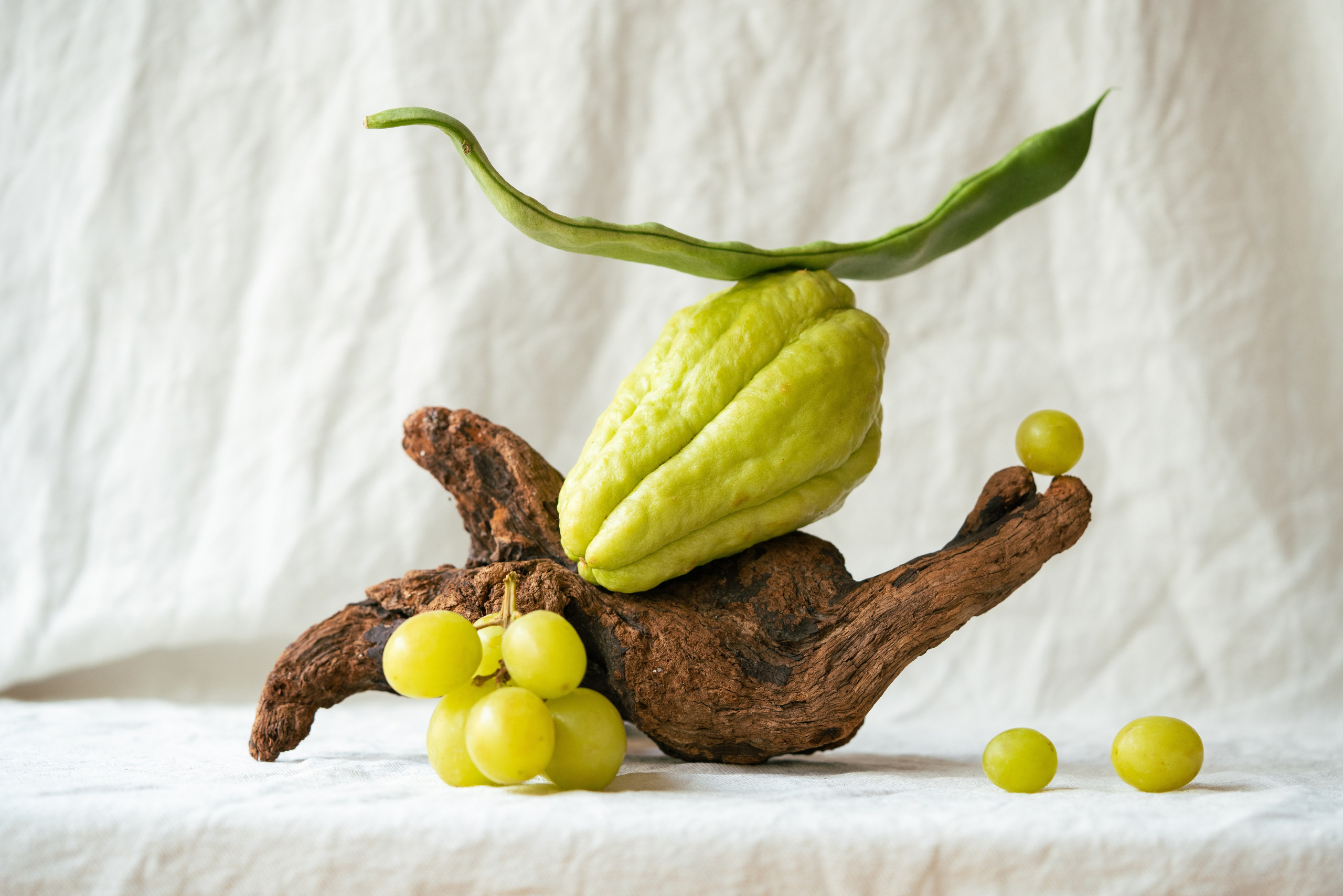 Still Life com Chayote, uvas e madeira. Arranjo criativo de um chayote, uvas verdes e madeira flutuante em um fundo texturizado branco