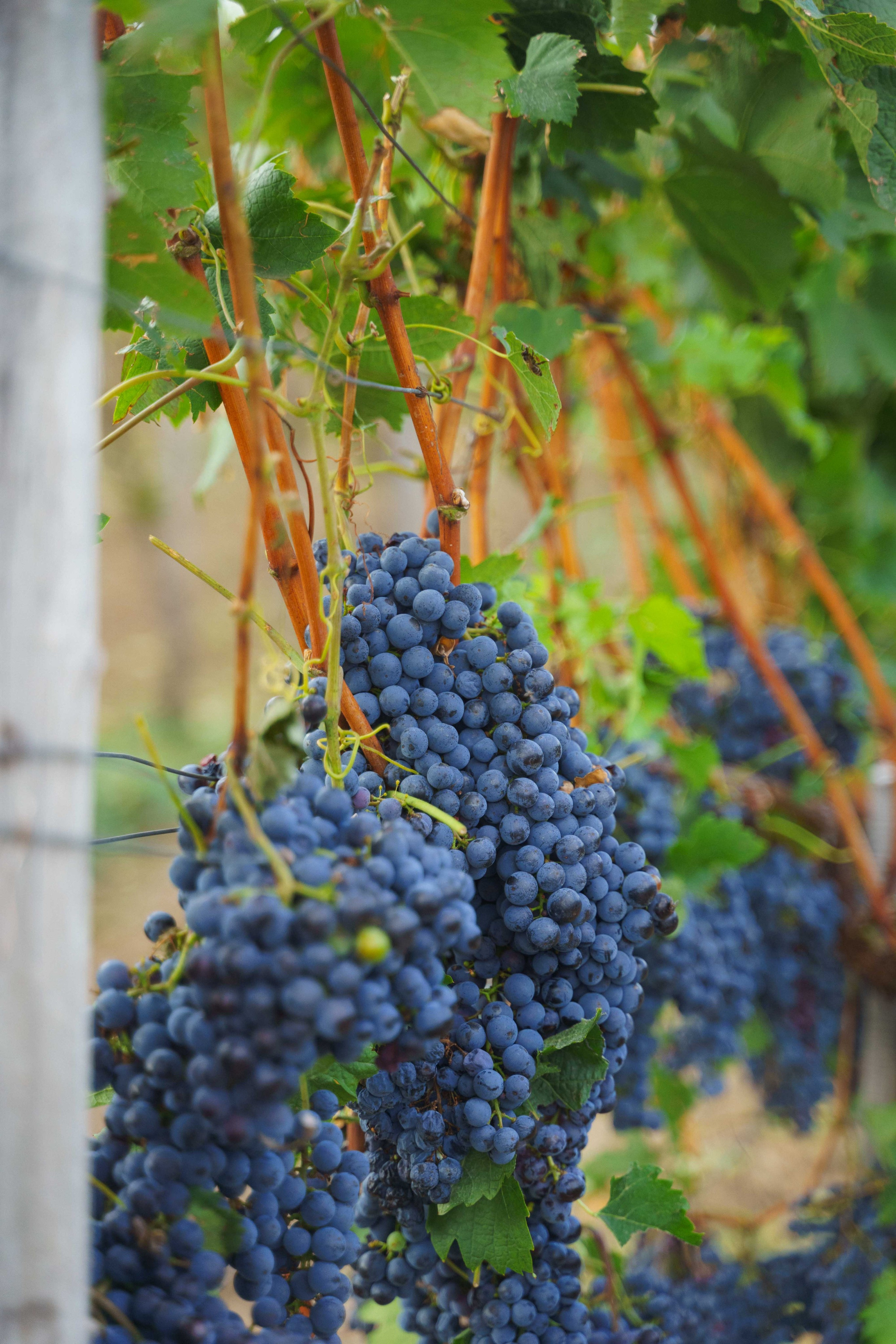 Jeep Commerce Event. Zhukov studio