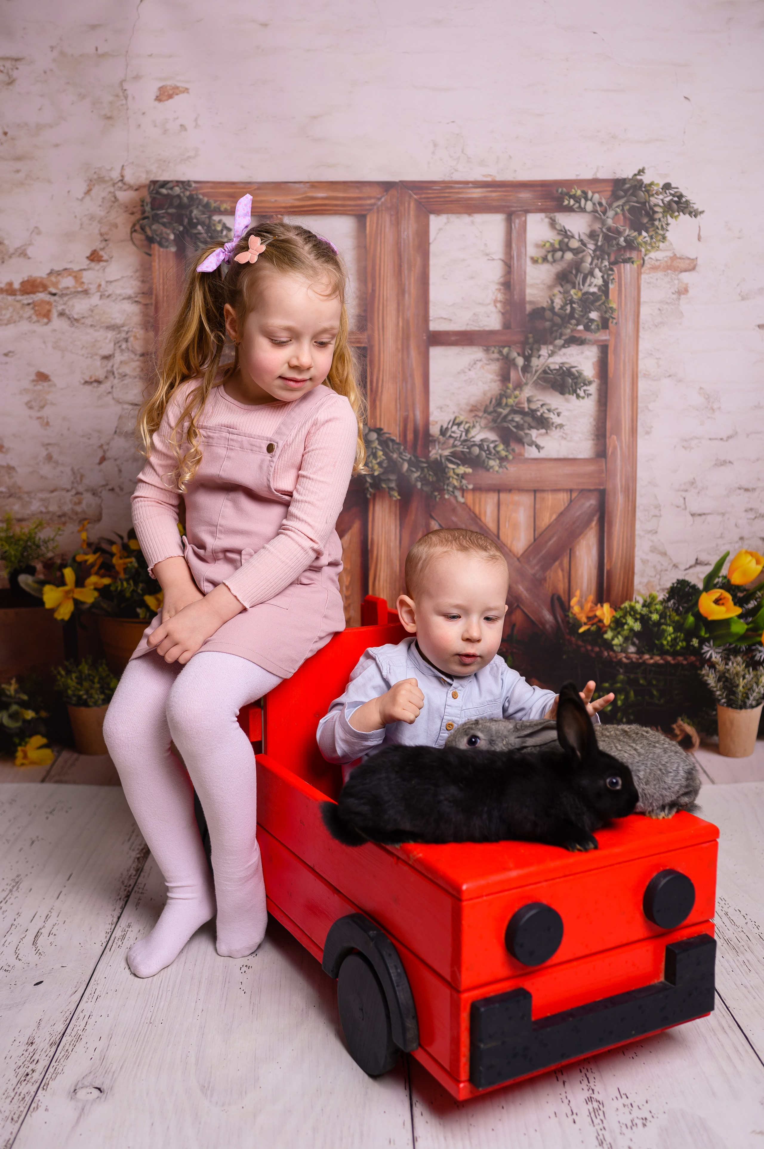 Studio. Ligiafoto.ro