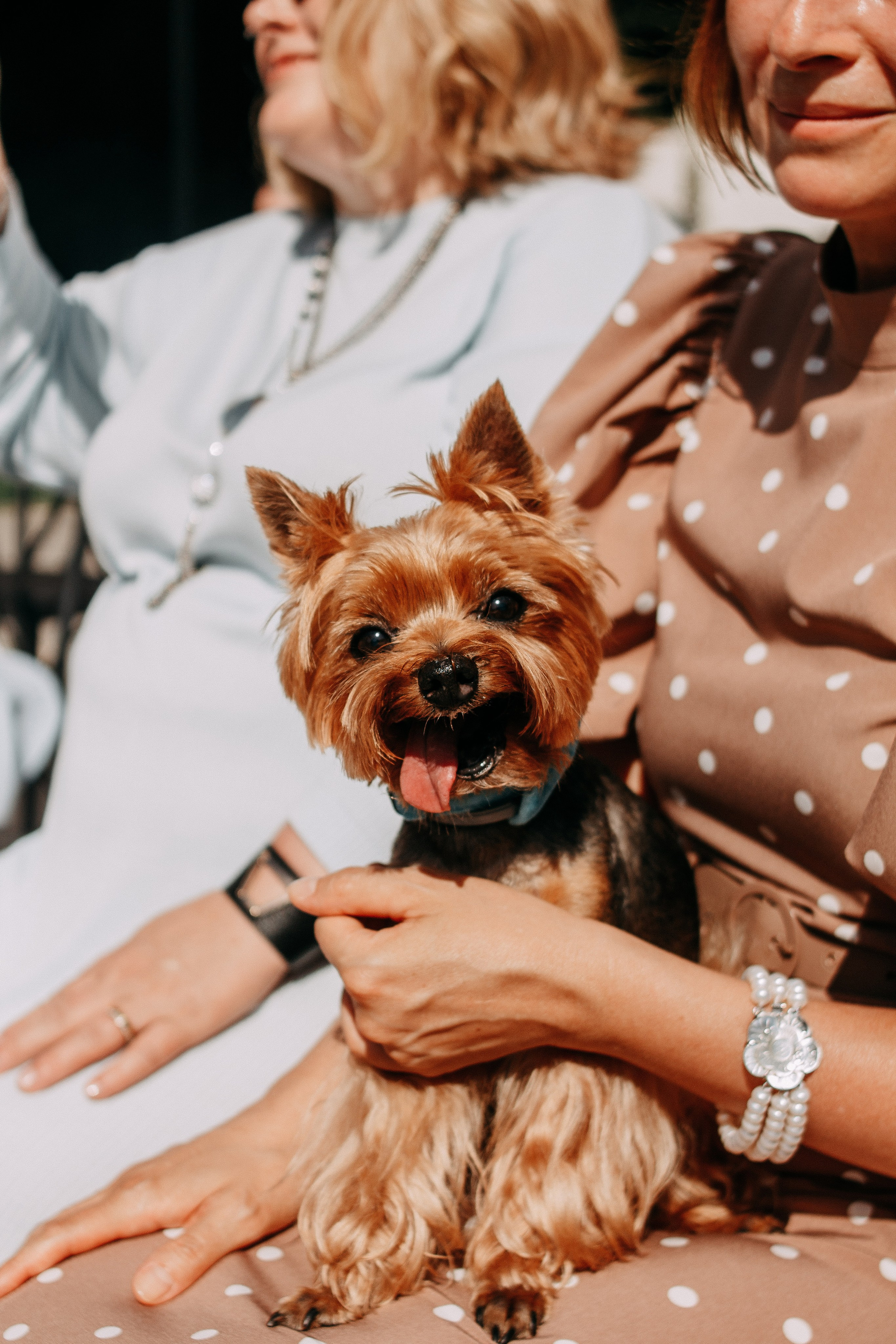Анна и Александр. Свадебный и портретный фотограф в Белграде Екатерина Македонская