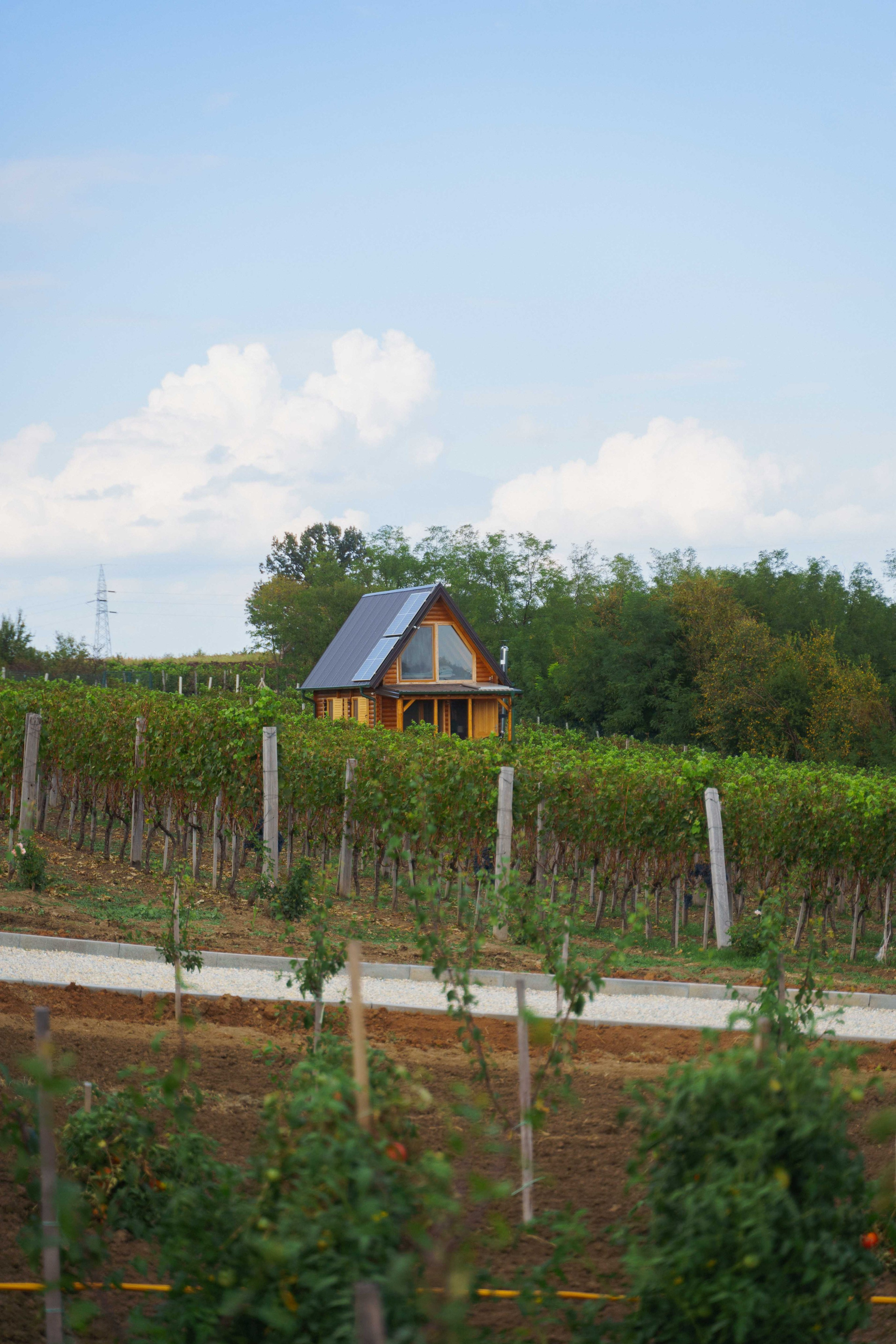 Jeep Commerce Event. Zhukov studio