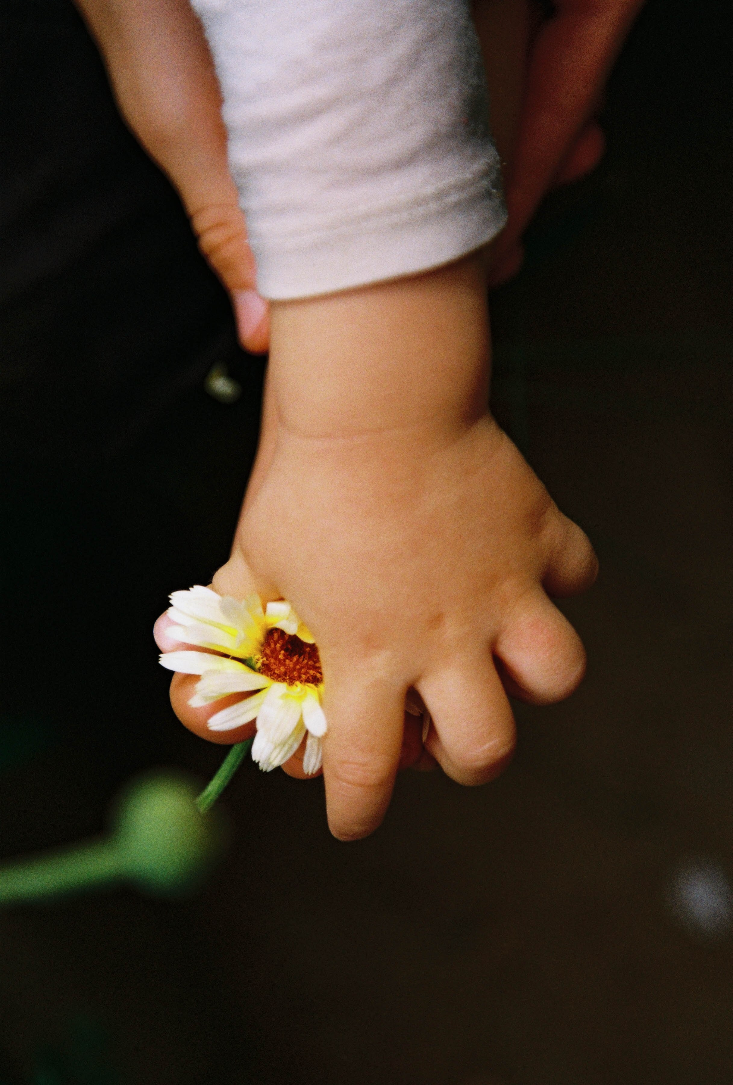 Authentic Family Photography in Cologne