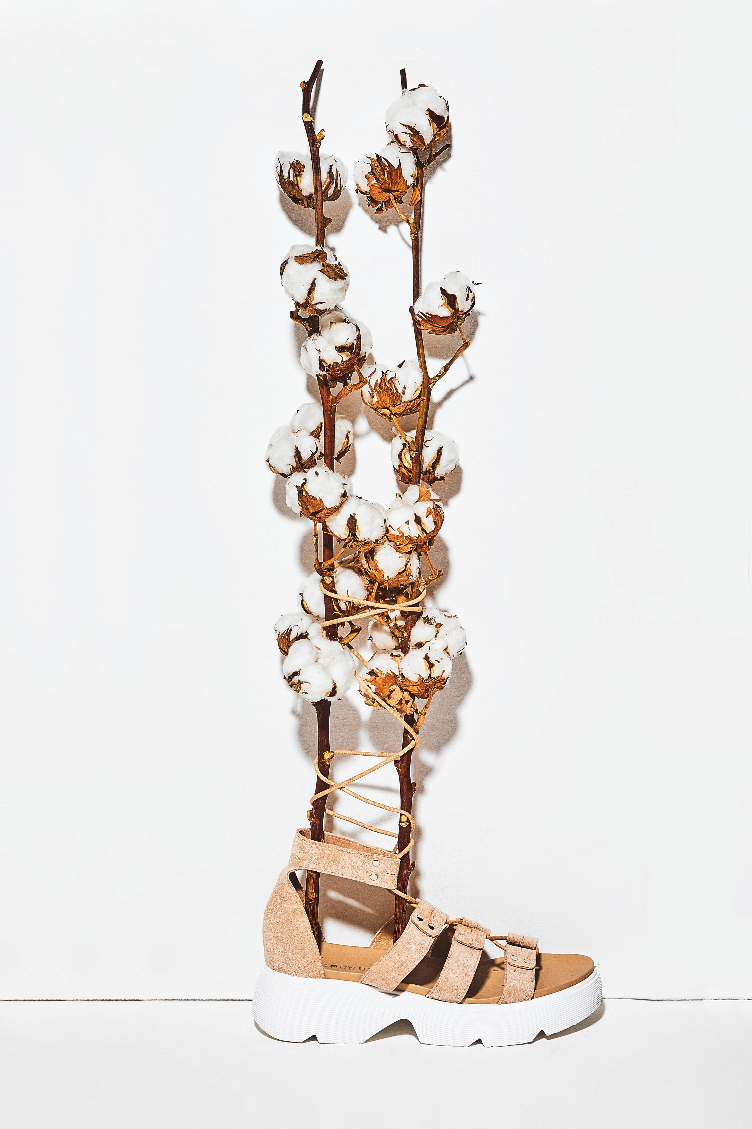 Предметная съемка. Abdrshin Valeriy photographer