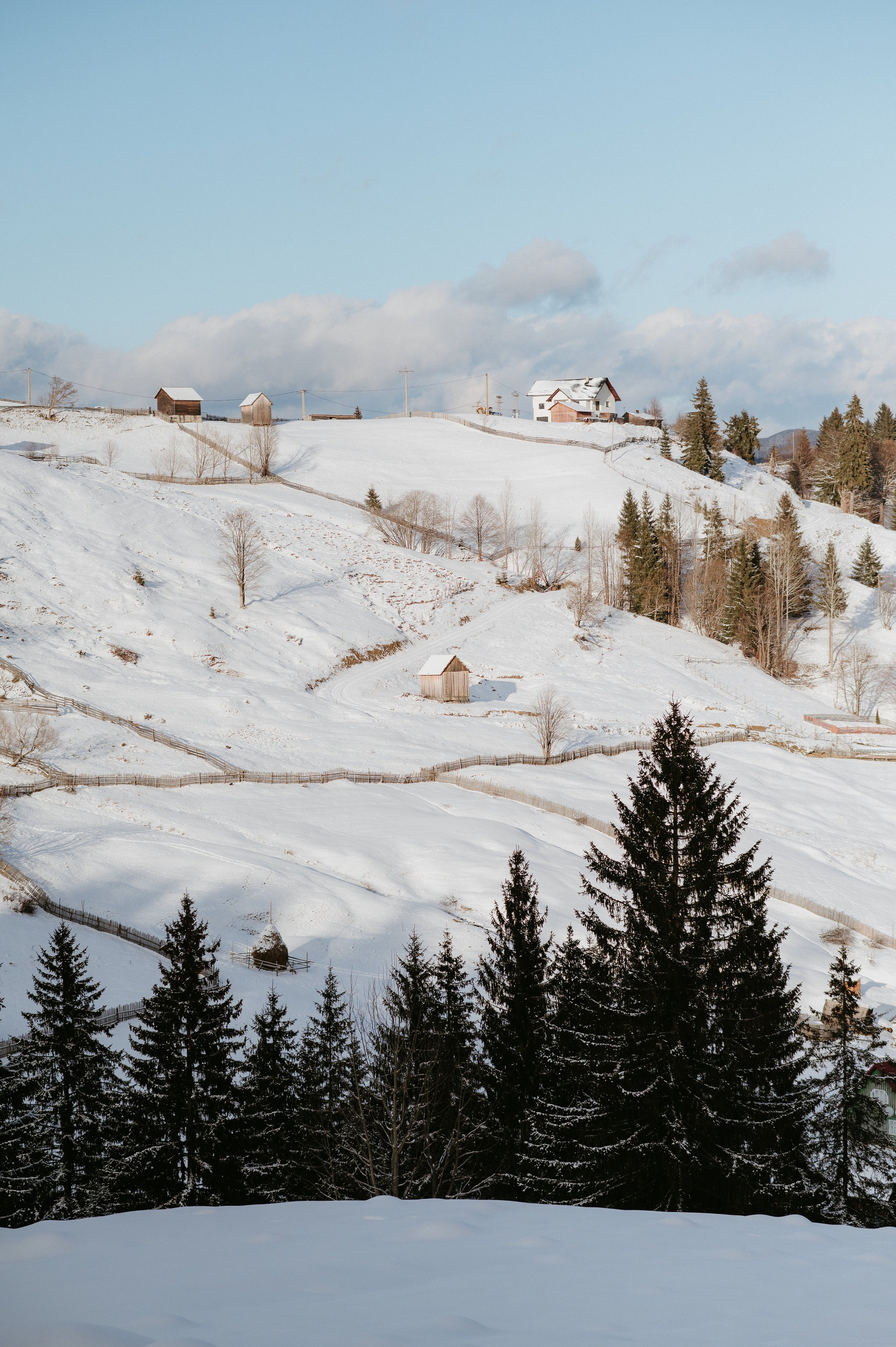Ședință Foto de Familie la Munte – Fotografii de Iarnă în Lupcina. Valentin Melen - fotograf de nunta 🤍