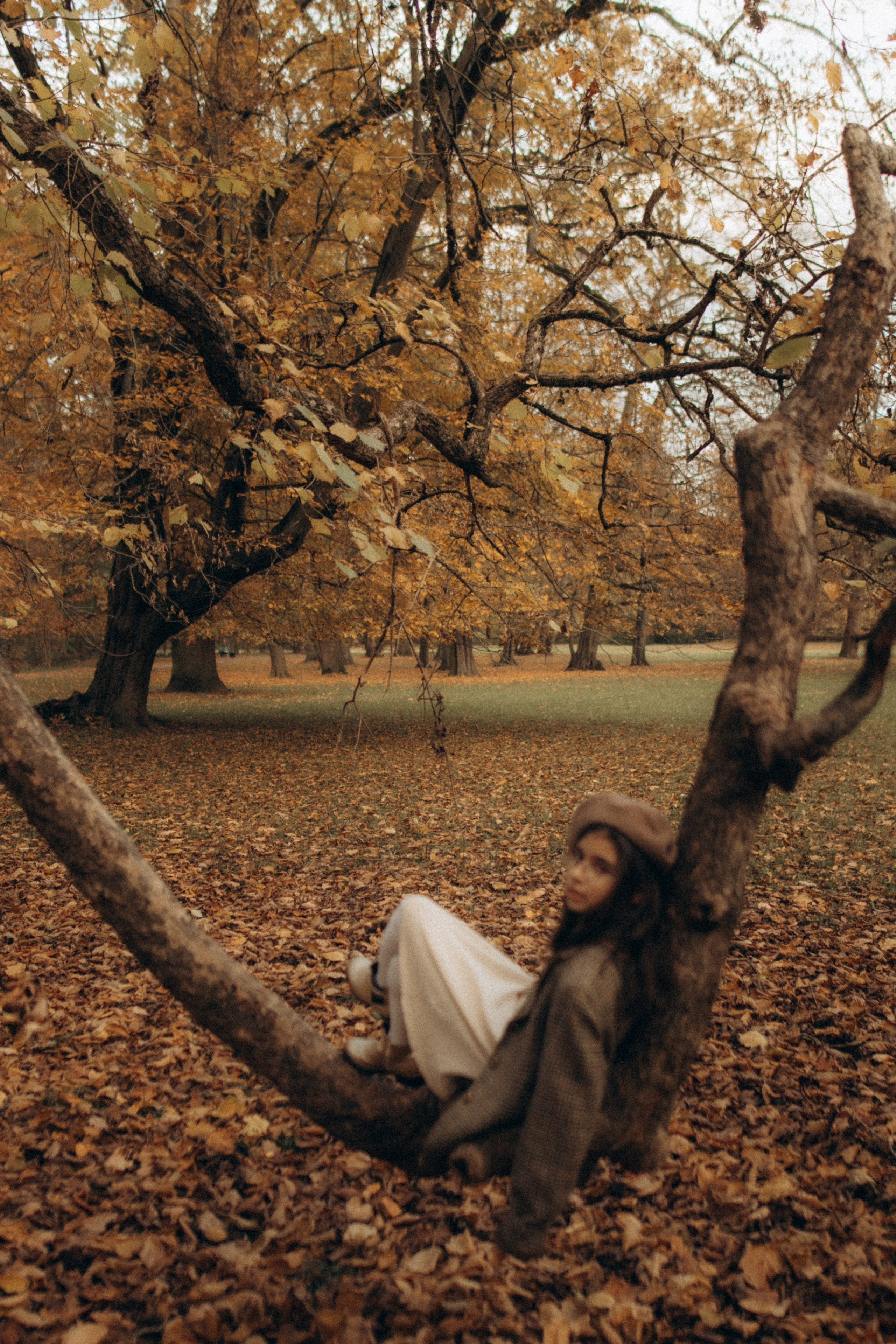 Saranev Family Photographer